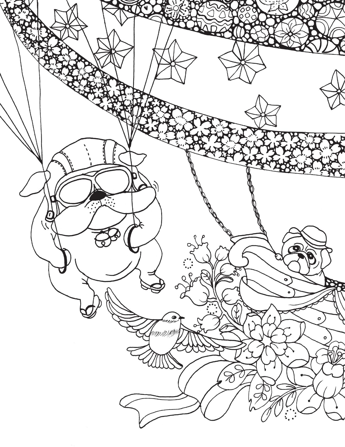 Chú Chó Bên Hiên Nhà - Ảnh 9