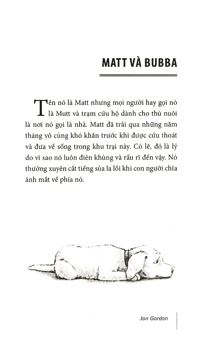 chú chó lạc quan (2016) - Ảnh 3