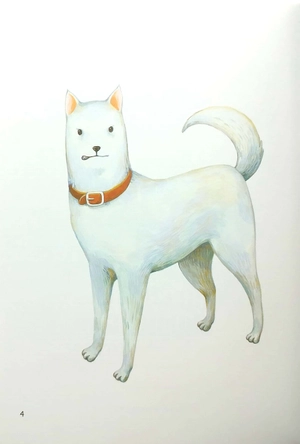 chú chó lạc vào chuồng gà - Ảnh 3