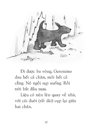 chú chó tưởng mình là mèo - Ảnh 6