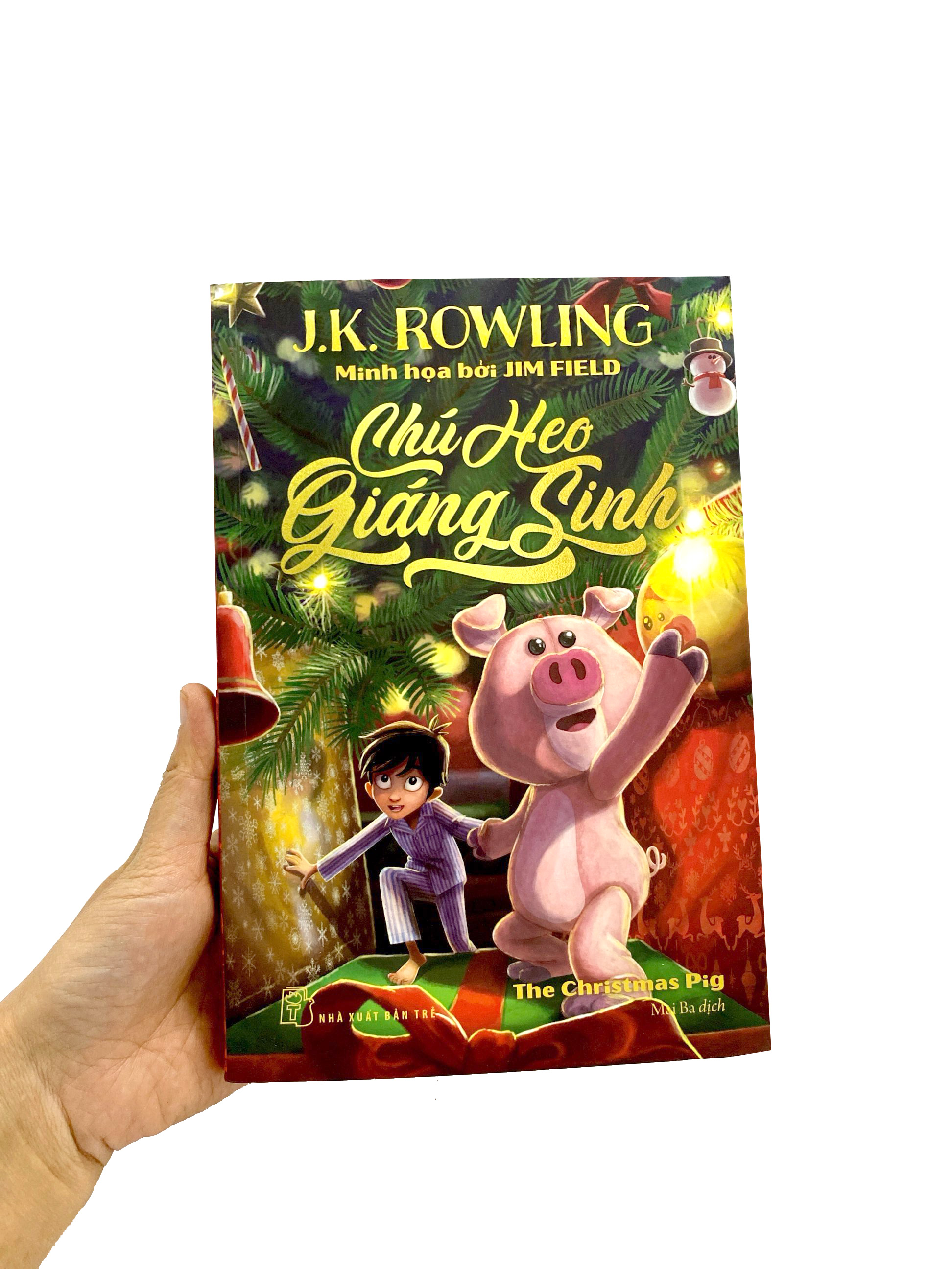 chú heo giáng sinh - Ảnh 12