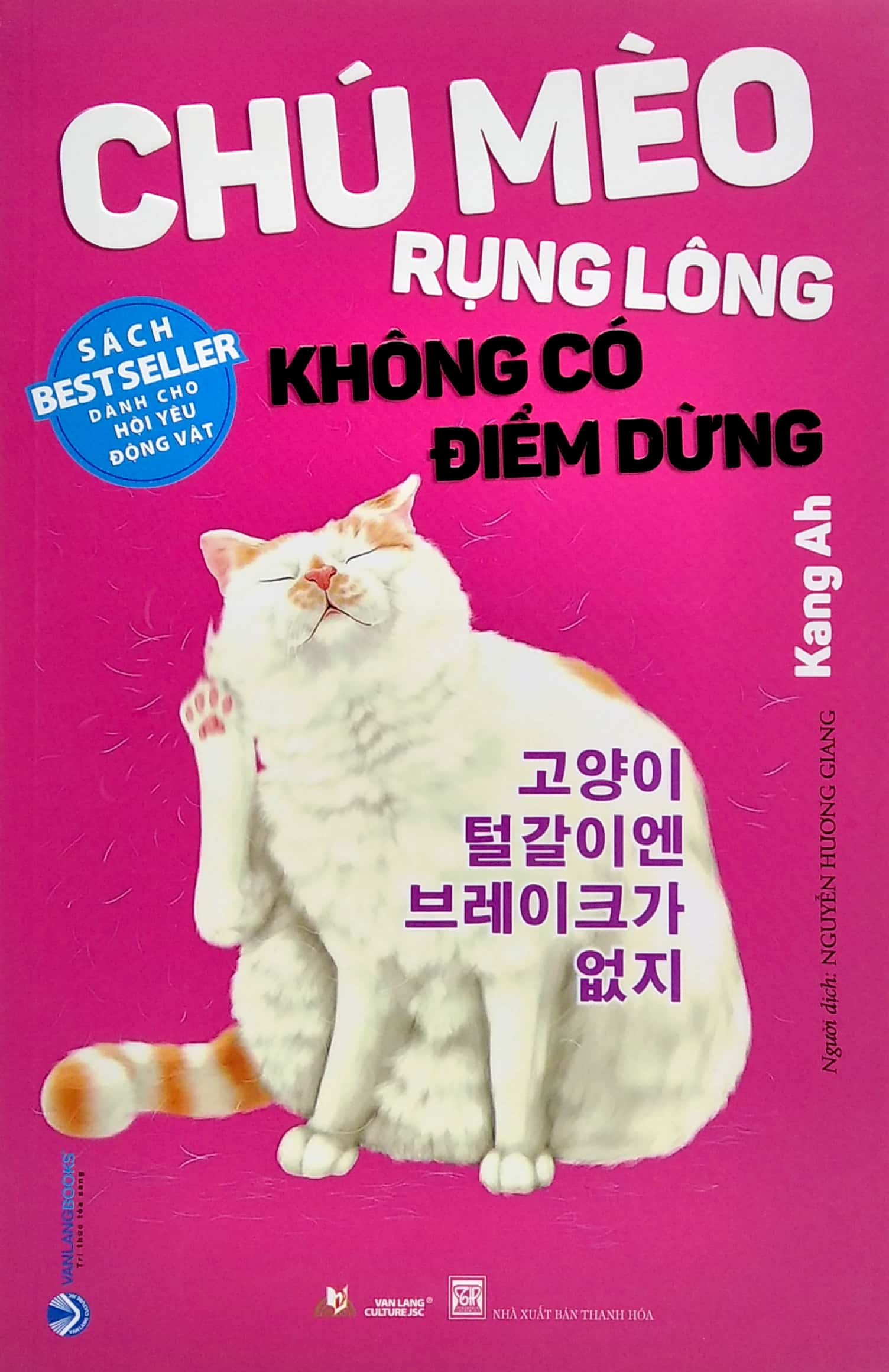 chú mèo rụng lông không có điểm dừng - Ảnh 2