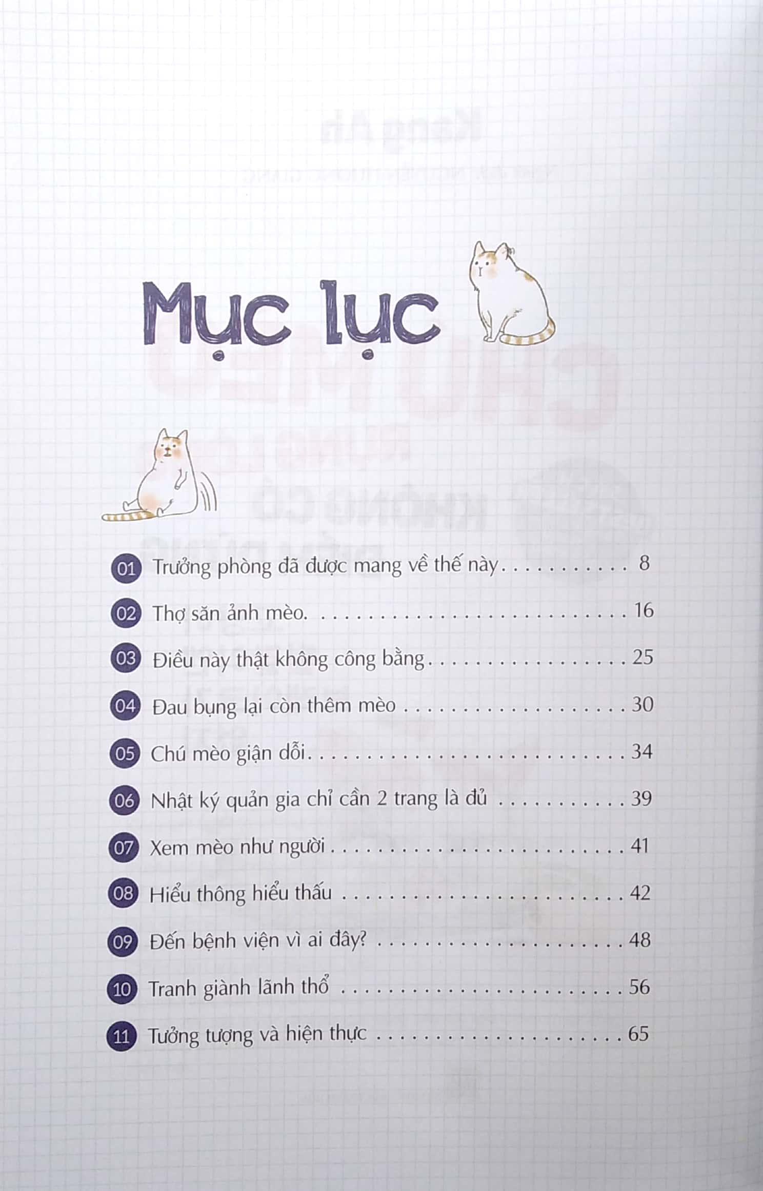 chú mèo rụng lông không có điểm dừng - Ảnh 3