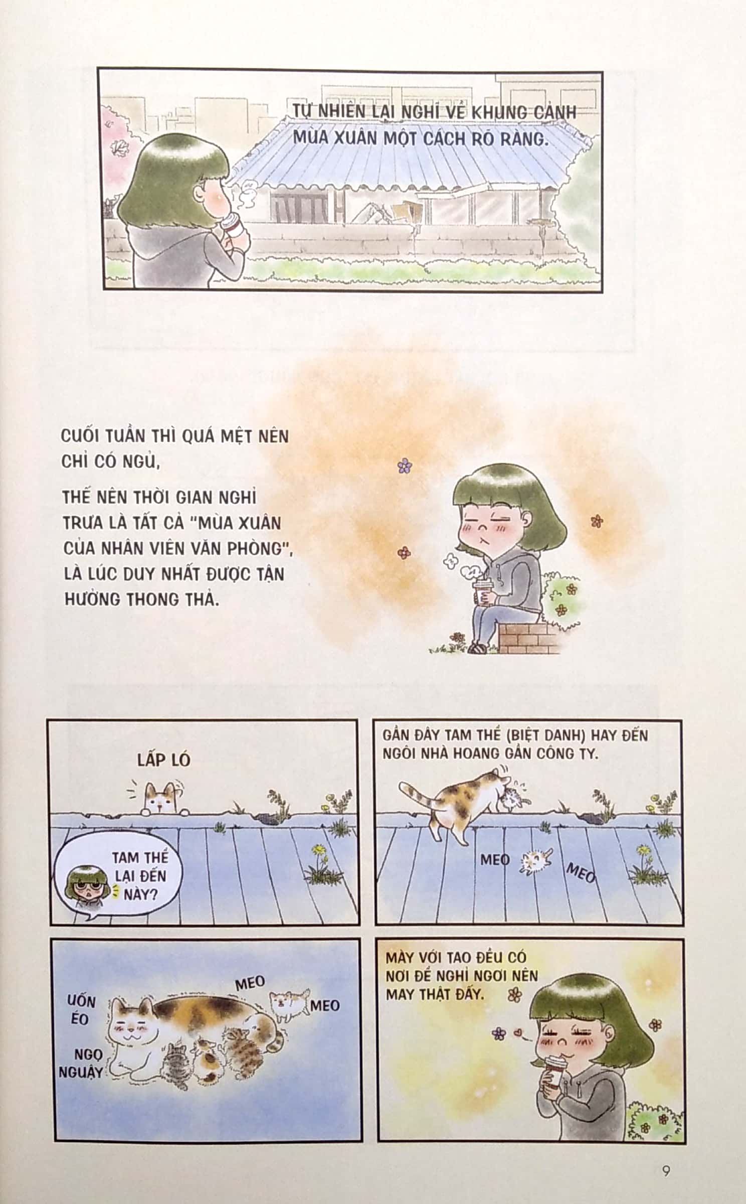 chú mèo rụng lông không có điểm dừng - Ảnh 5