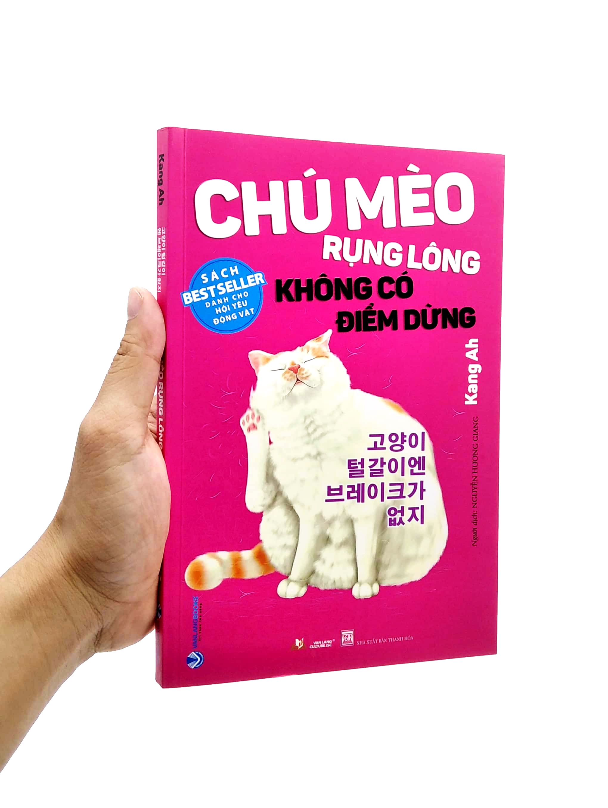 chú mèo rụng lông không có điểm dừng - Ảnh 7