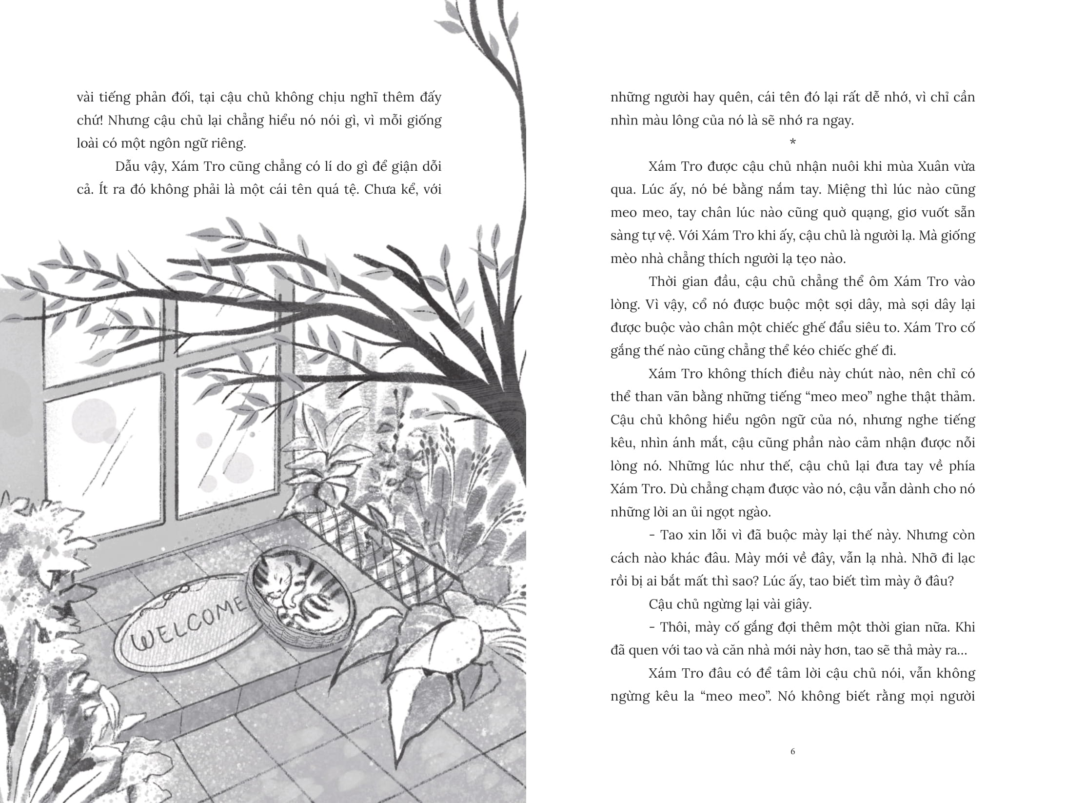 Chú Mèo Tắm Nắng Bên Hiên - Ảnh 4