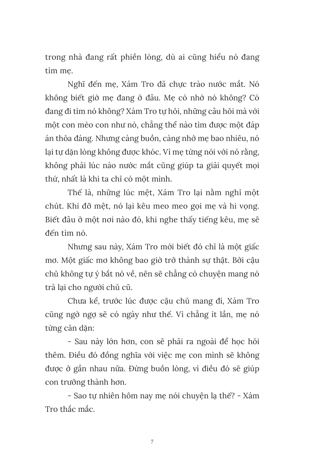 Chú Mèo Tắm Nắng Bên Hiên - Ảnh 5