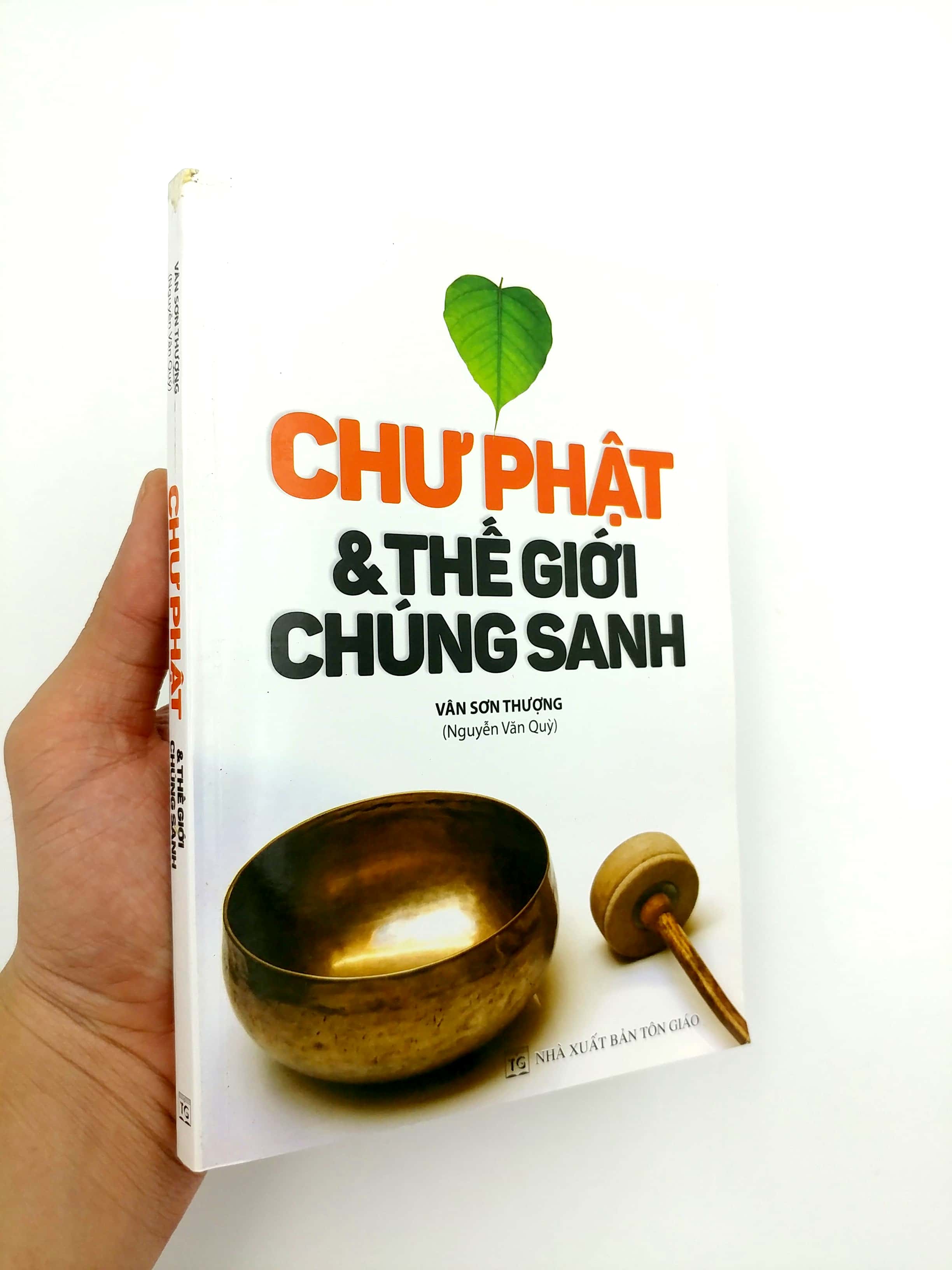 chư phật & thế giới chúng sanh - Ảnh 12