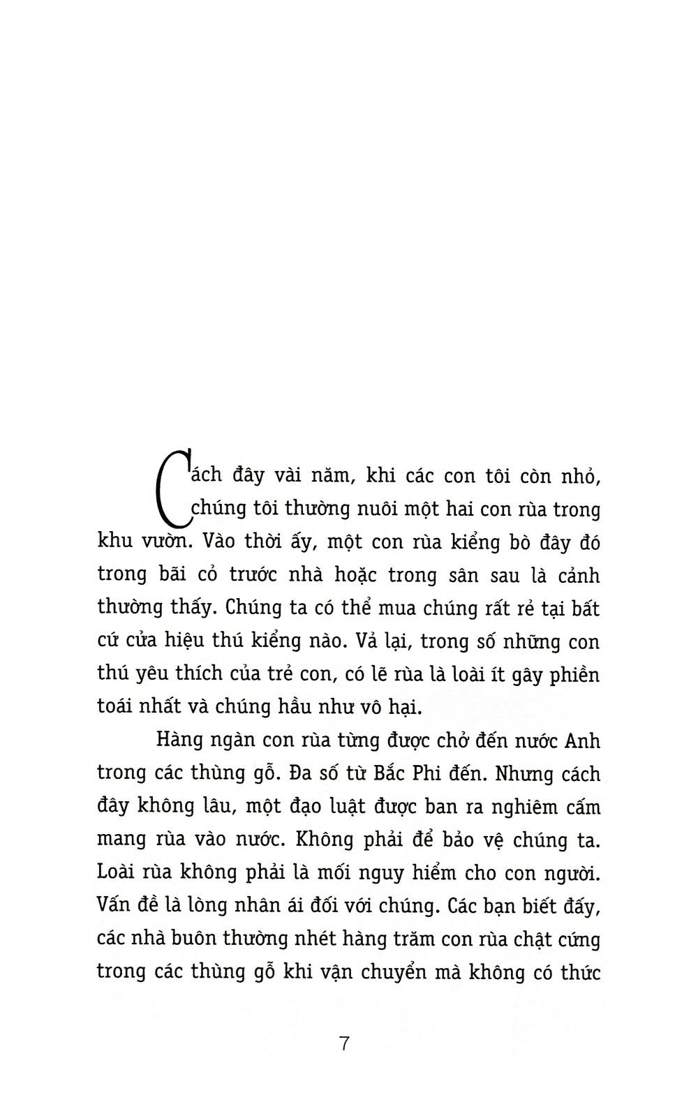 chú rùa alfie (tái bản 2021) - Ảnh 3