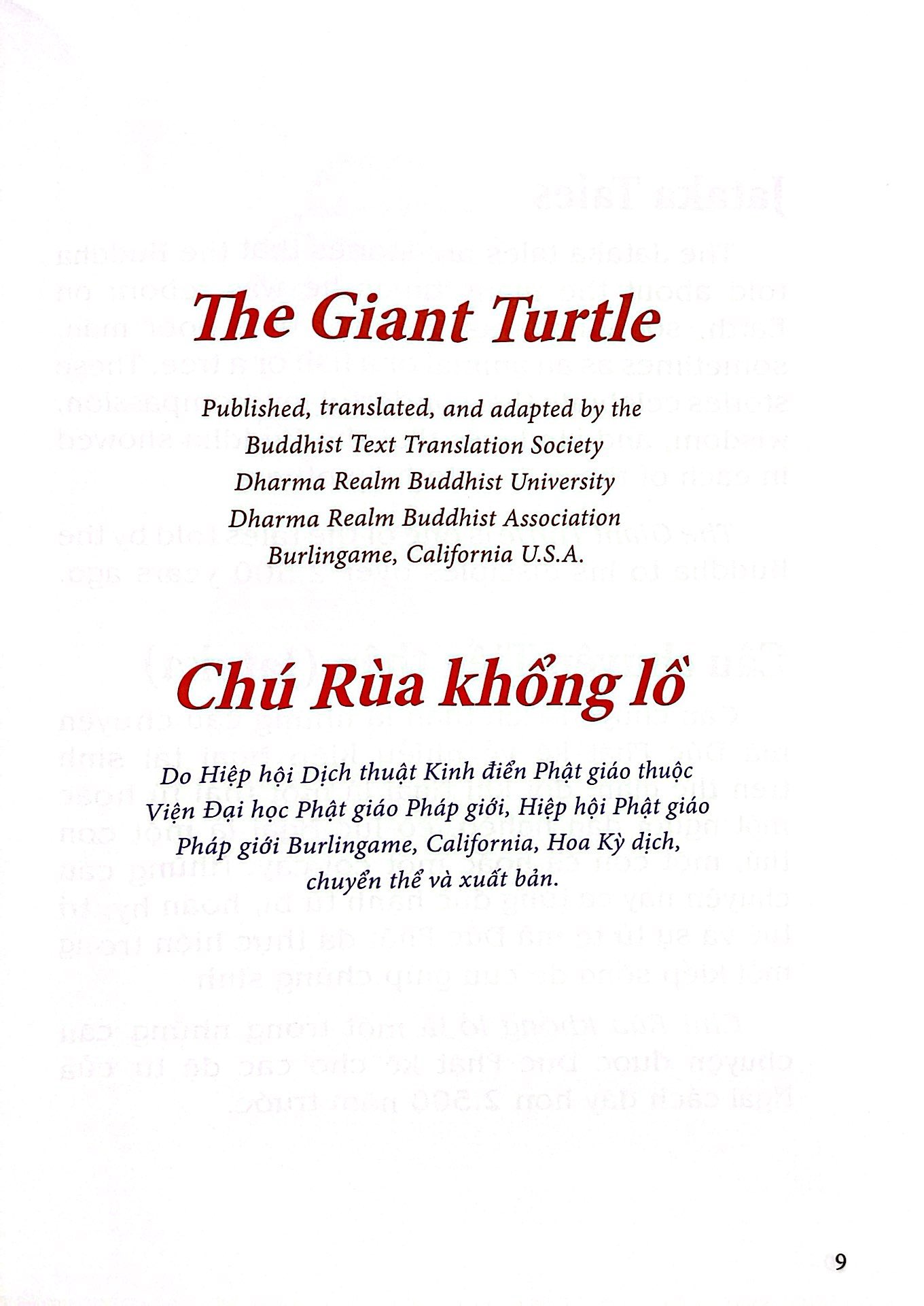 chú rùa khổng lồ - the gaint turtle - Ảnh 6