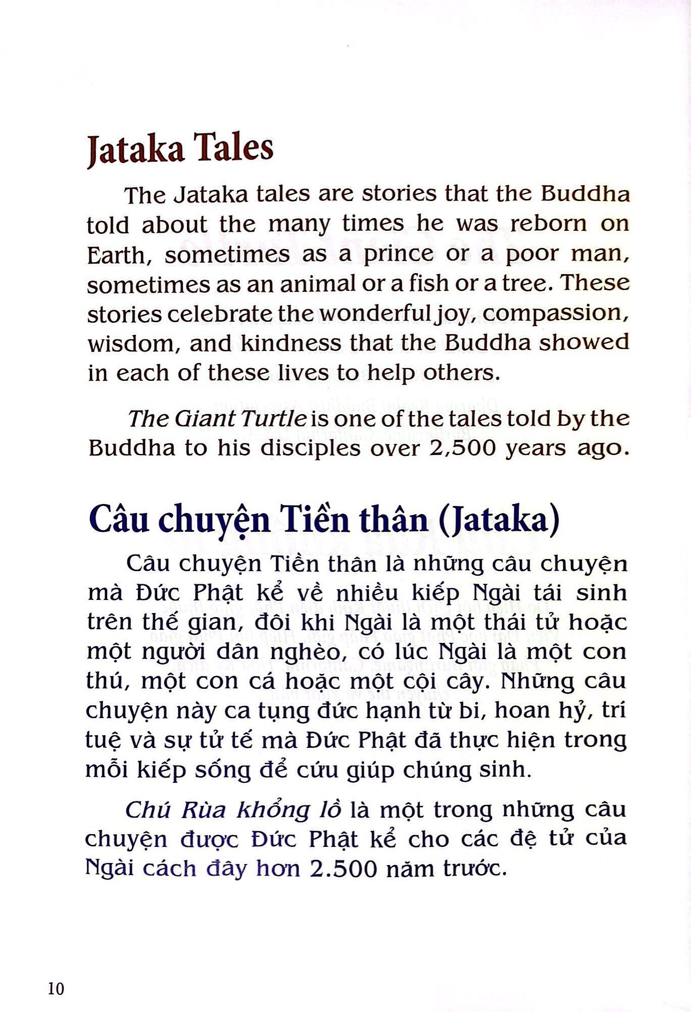 chú rùa khổng lồ - the gaint turtle - Ảnh 7