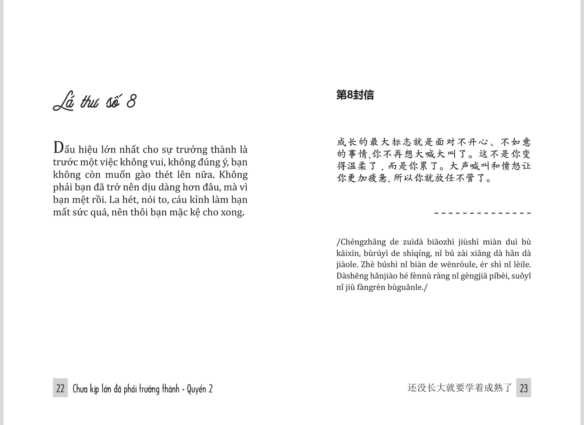 chưa kịp lớn đã phải trưởng thành - quyển 2 - phiên bản song ngữ việt-trung - Ảnh 6