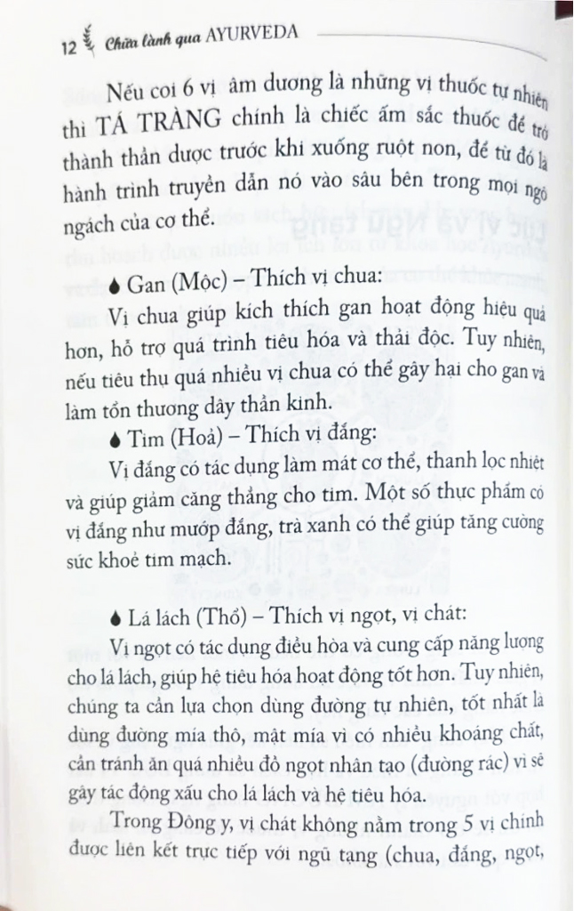 chữa lành qua ayurveda - mẹo để hiểu tạng người và tự chăm sóc bản thân - Ảnh 5