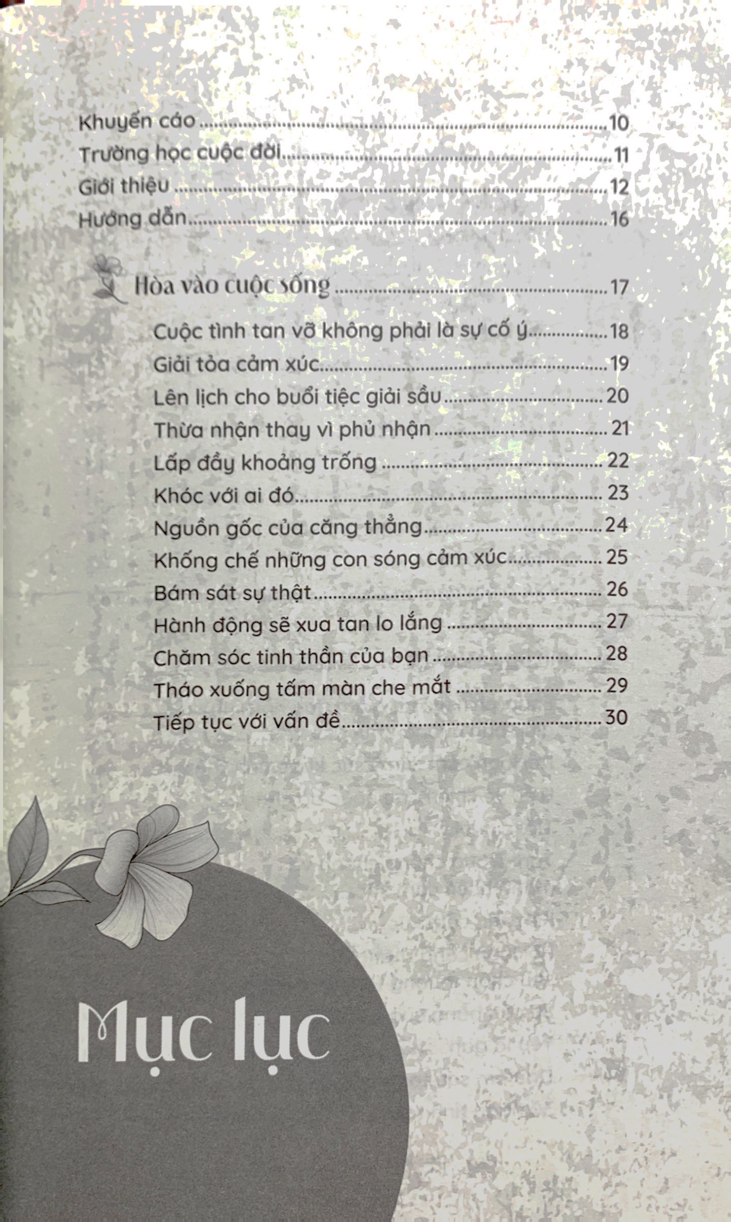 chữa lành sau tan vỡ - Ảnh 3