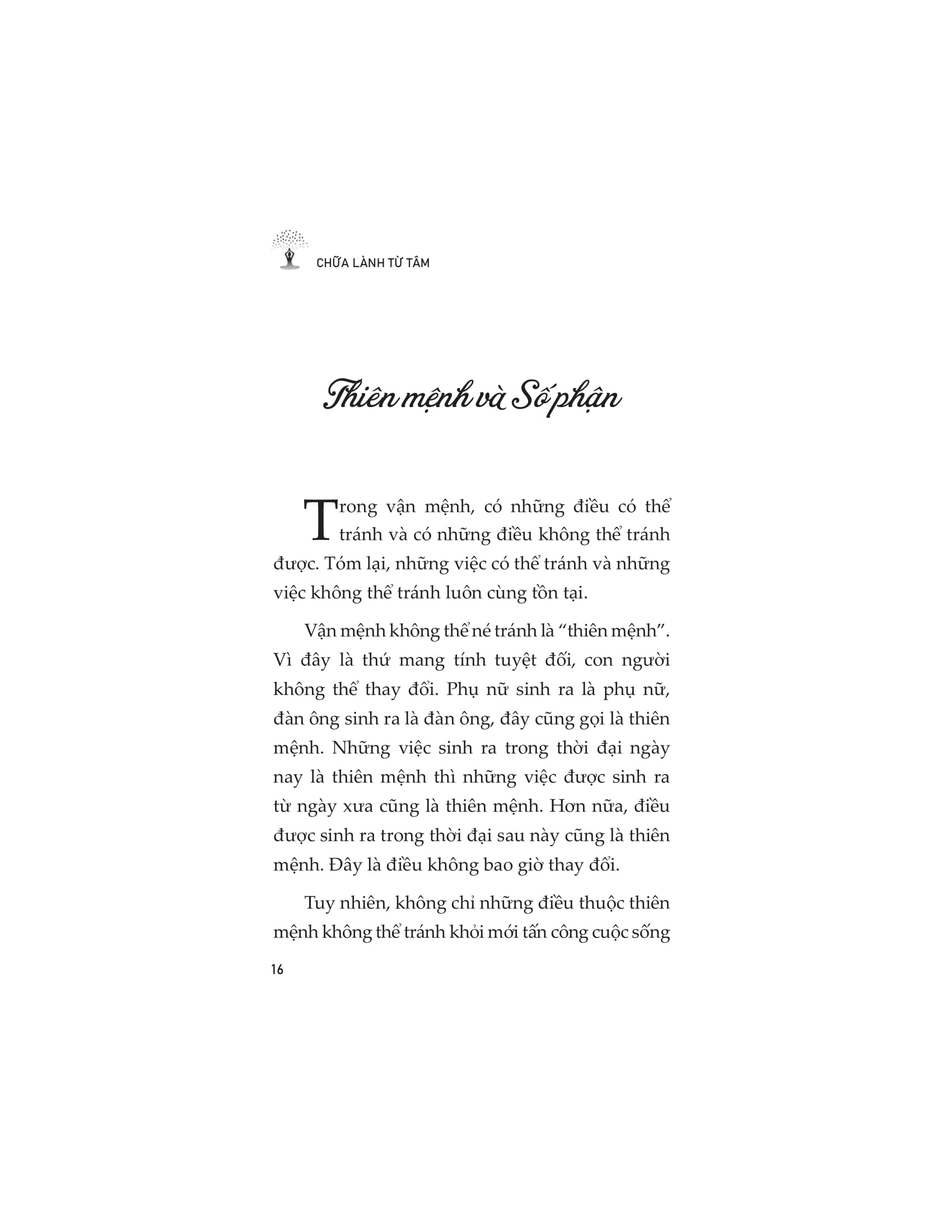 chữa lành từ tâm - Ảnh 14