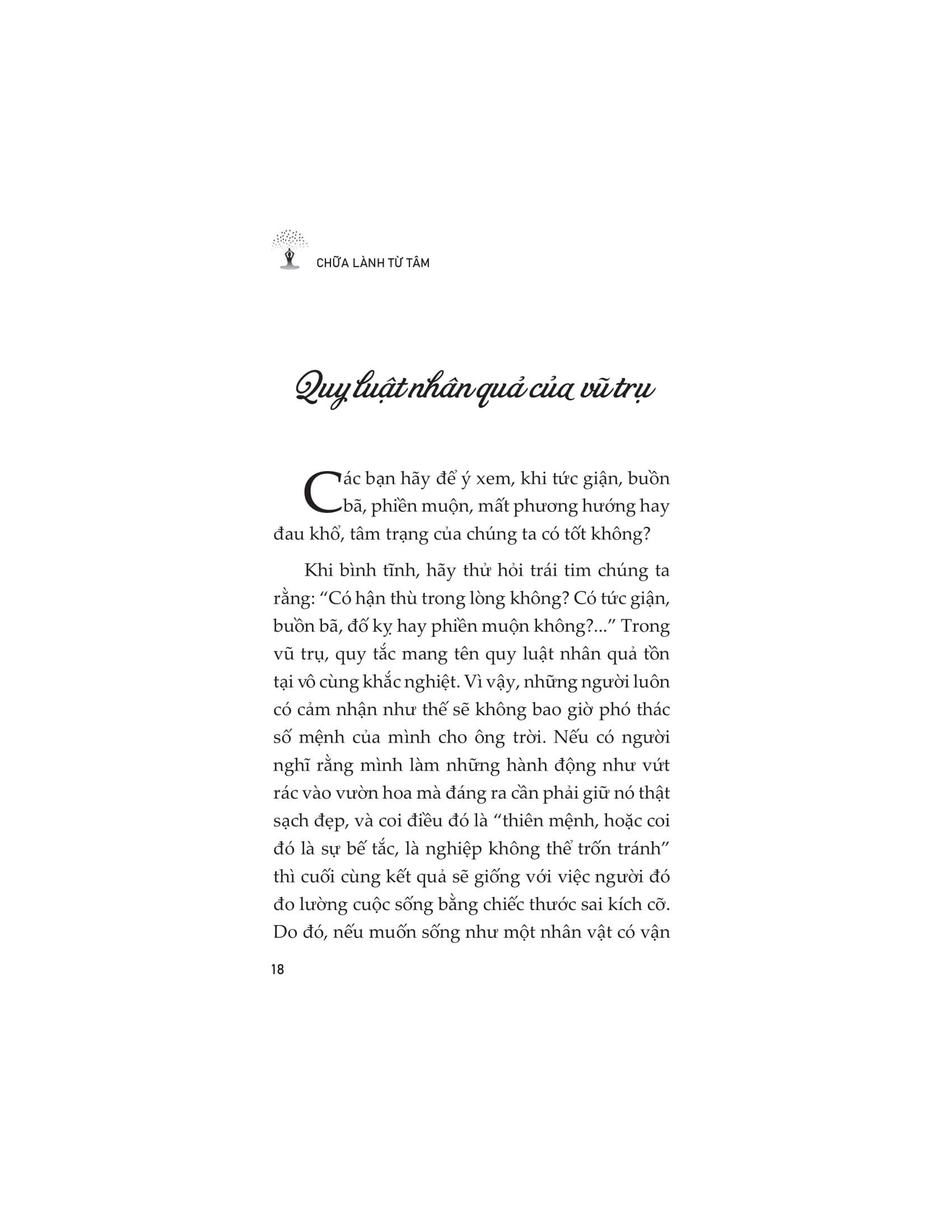 chữa lành từ tâm - Ảnh 16