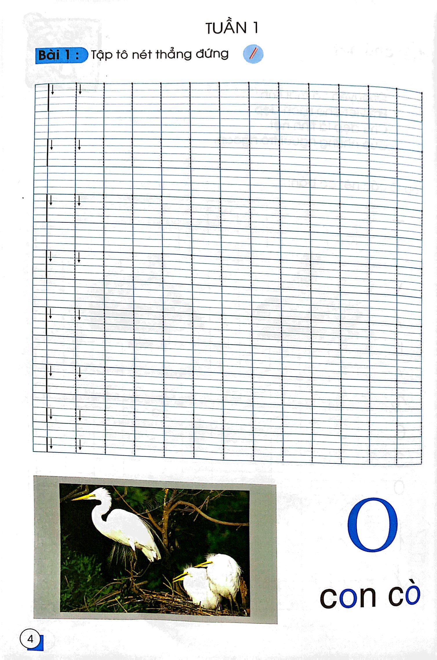 chuẩn bị cho bé vào lớp 1 - tập tô nét cơ bản (tái bản) - Ảnh 5