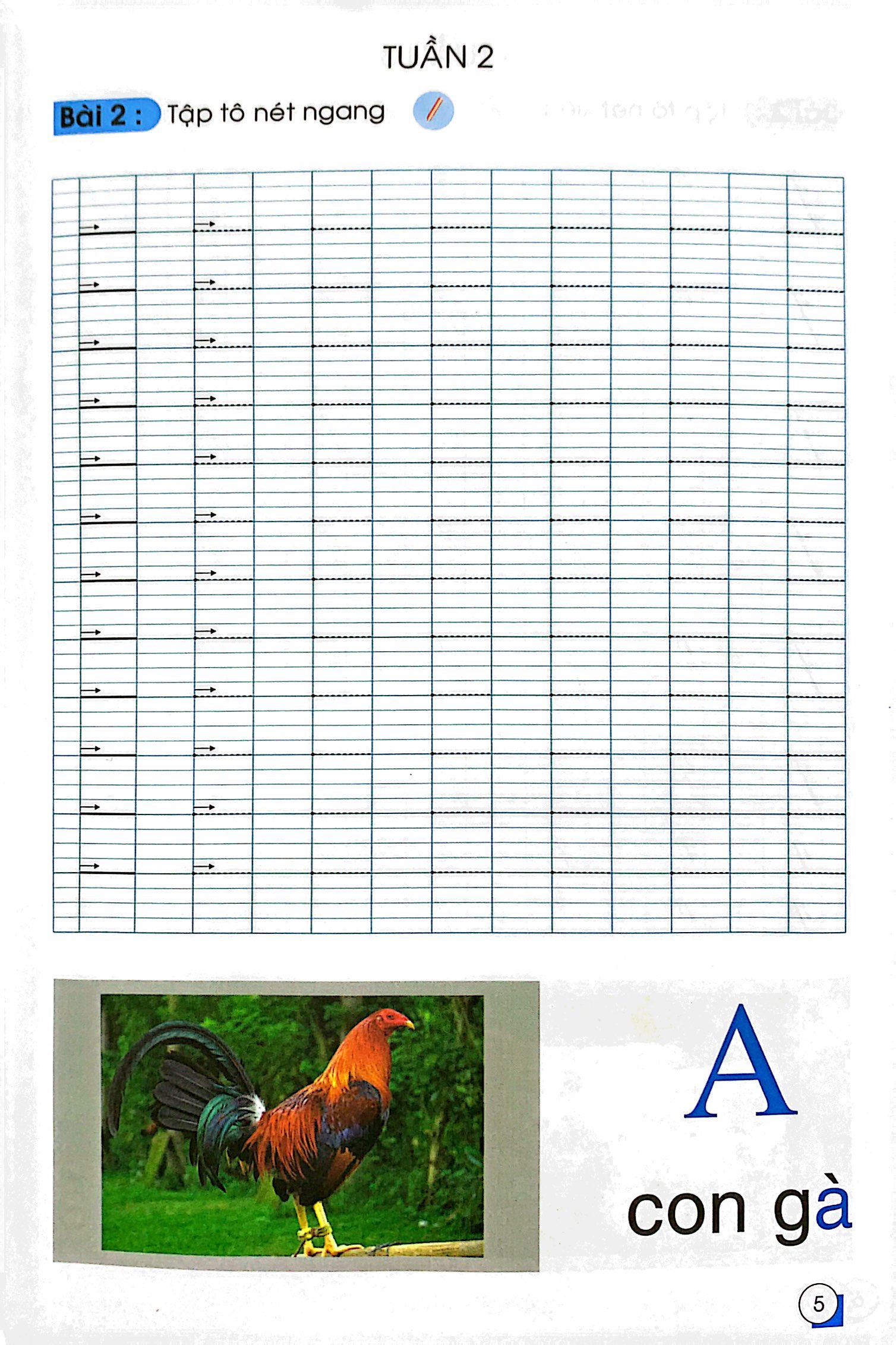 chuẩn bị cho bé vào lớp 1 - tập tô nét cơ bản (tái bản) - Ảnh 6