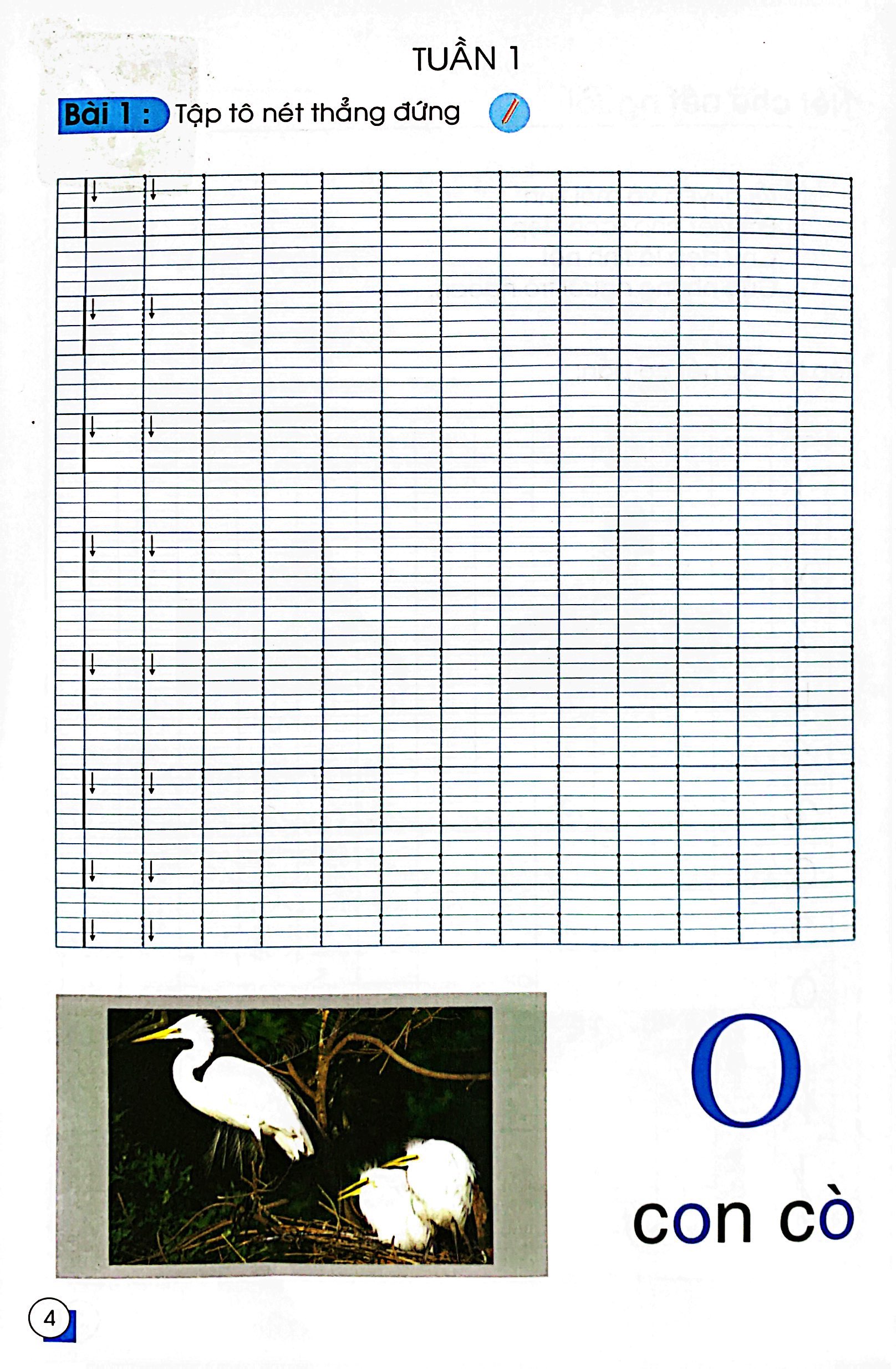 chuẩn bị cho bé vào lớp môt - tập tô nét cơ bản - Ảnh 6