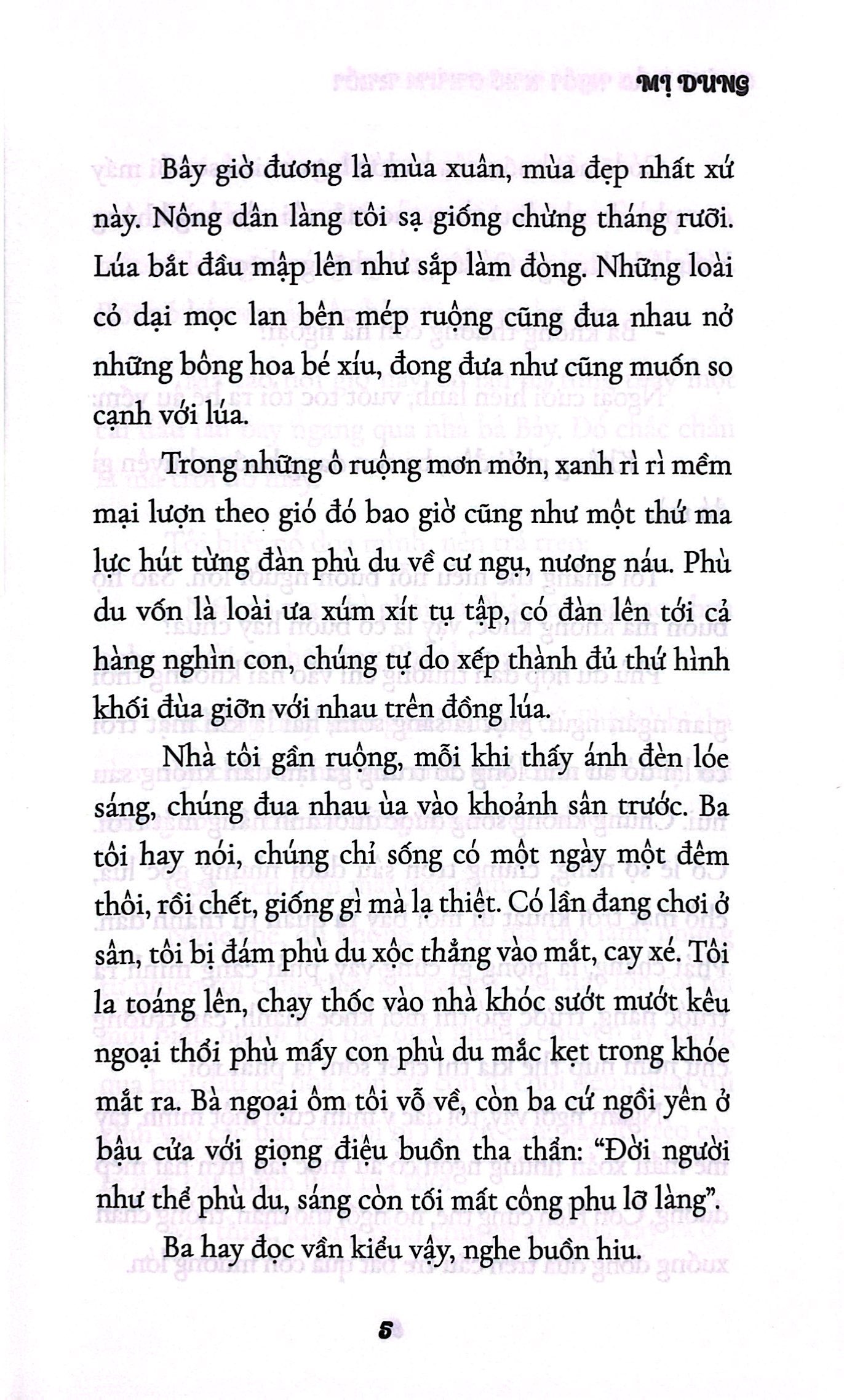 chùm đảo ngồi nhớ chùm ruồi - Ảnh 5