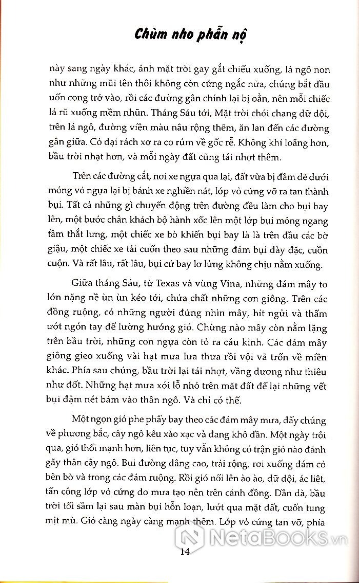 chùm nho phẫn nộ (tái bản 2024) - Ảnh 5