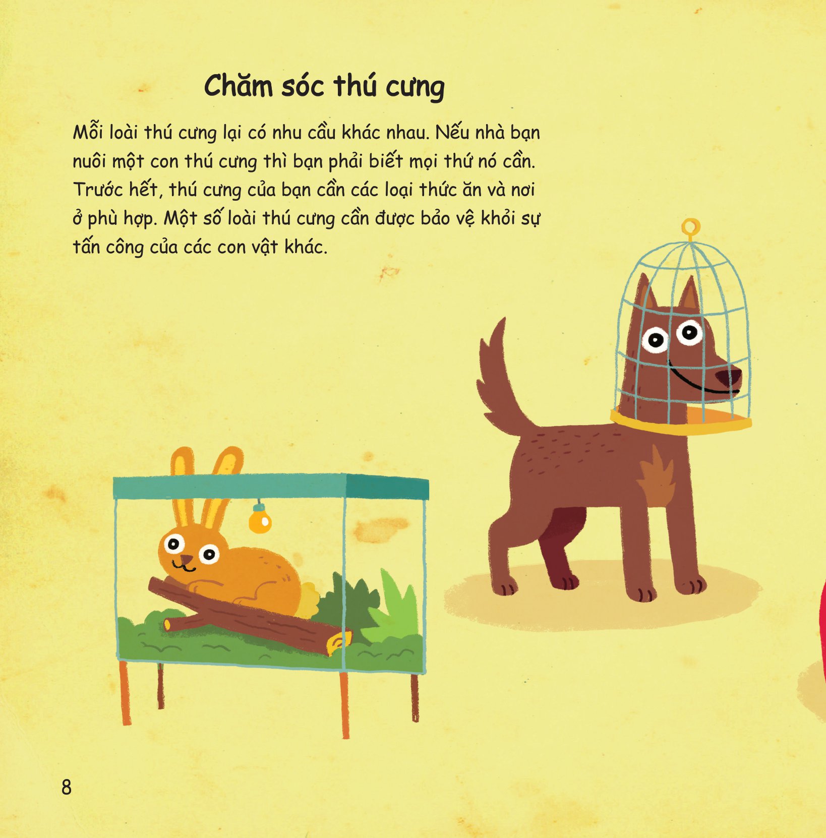 chúng mình làm gì để… bảo vệ thế giới động vật? - Ảnh 6