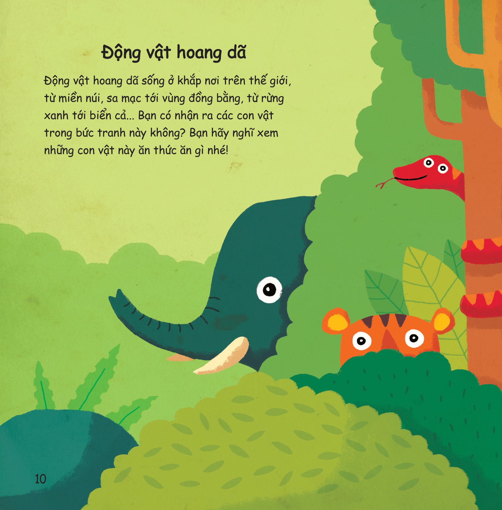 chúng mình làm gì để… bảo vệ thế giới động vật? - Ảnh 8