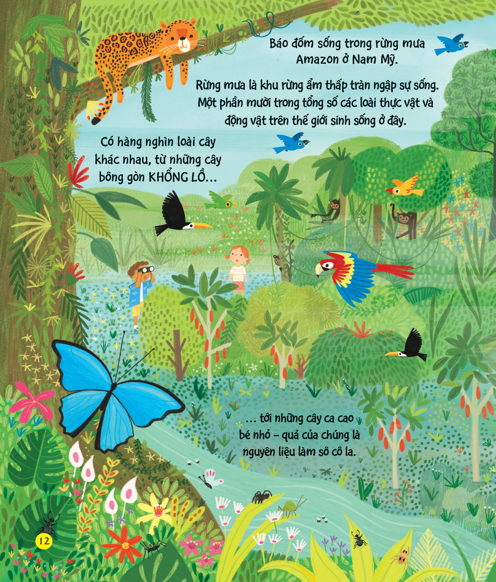 chúng ta có thể bảo vệ trái đất? - giải cứu cây xanh - Ảnh 10