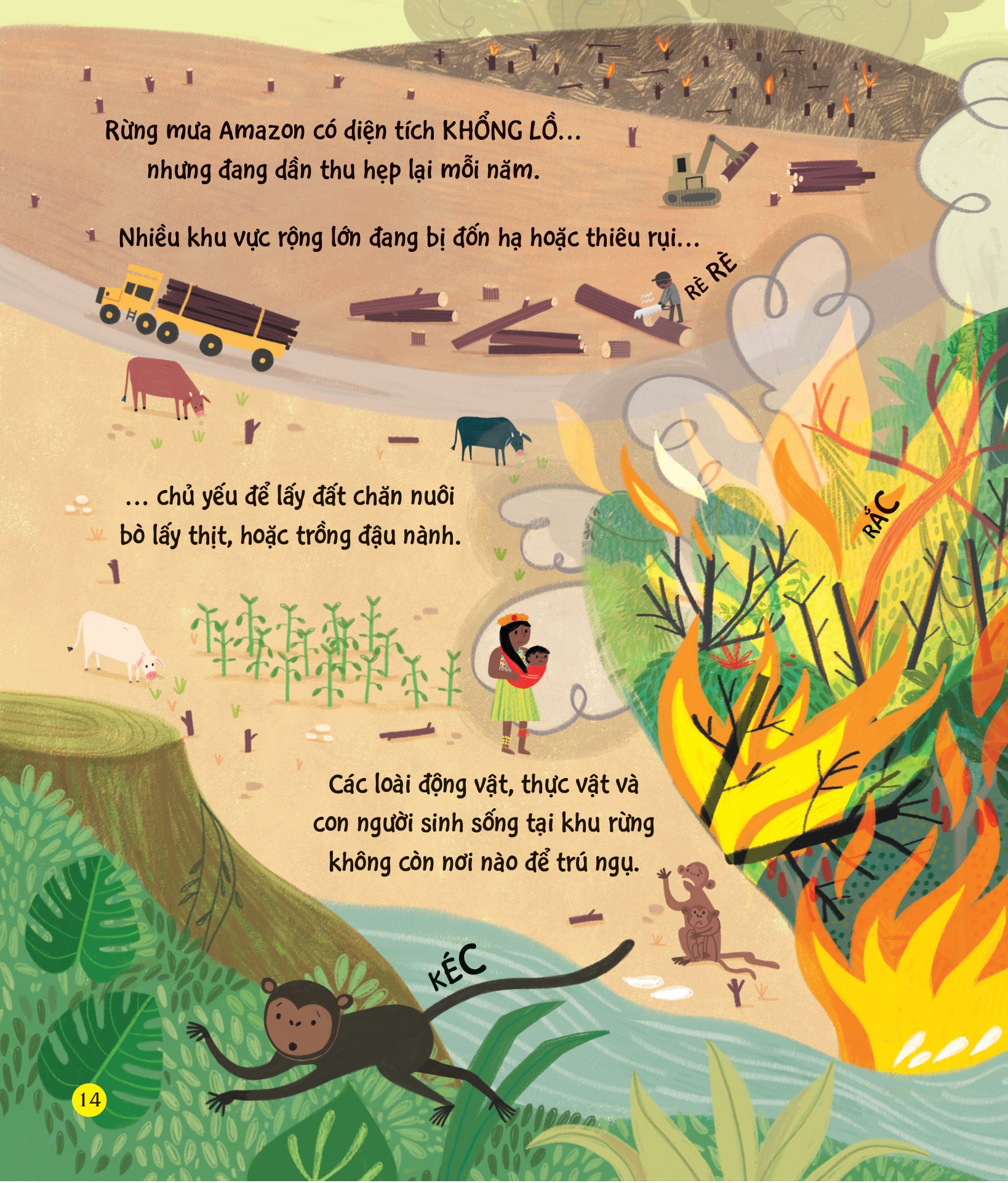 chúng ta có thể bảo vệ trái đất? - giải cứu cây xanh - Ảnh 12