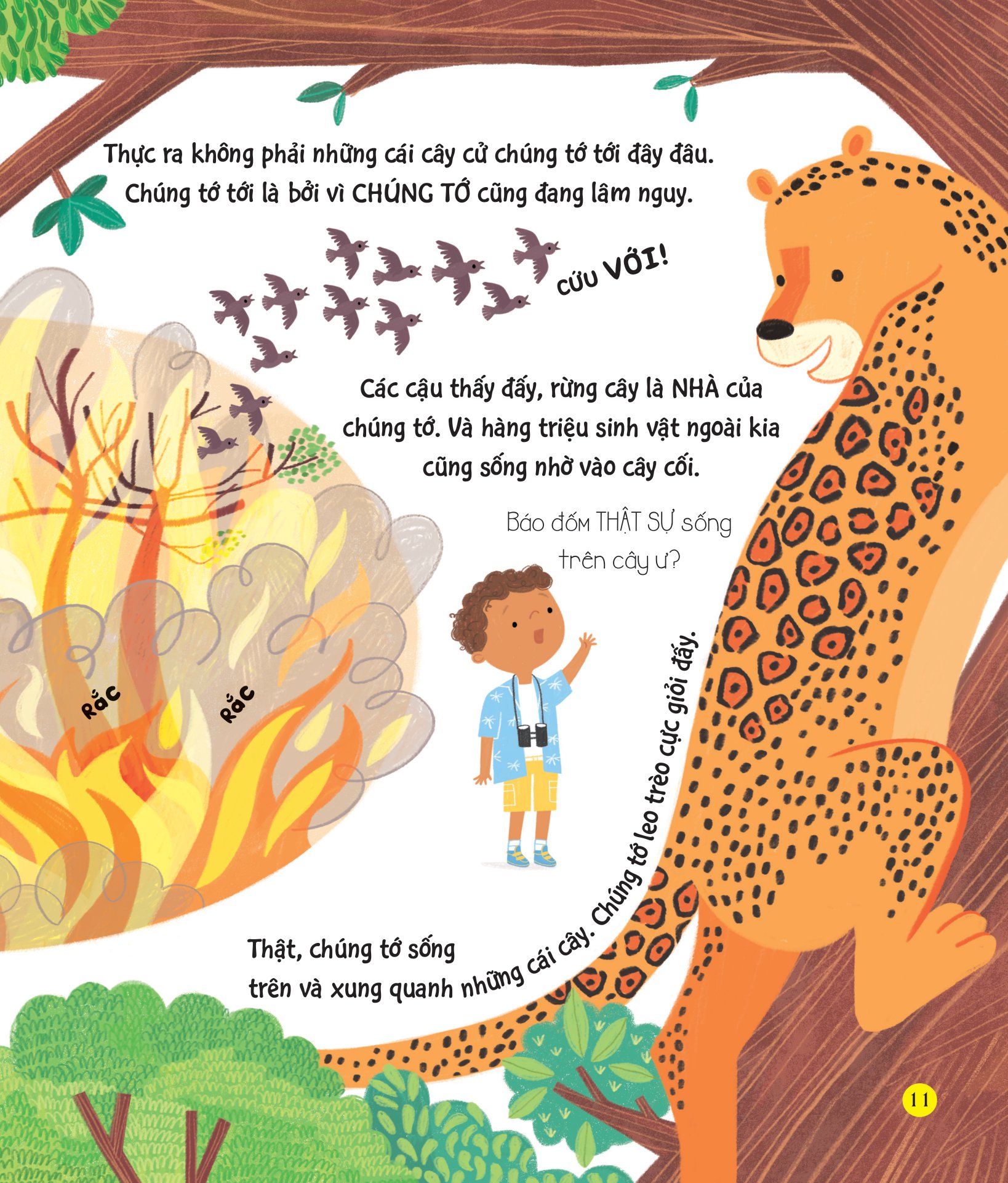 chúng ta có thể bảo vệ trái đất? - giải cứu cây xanh - Ảnh 9