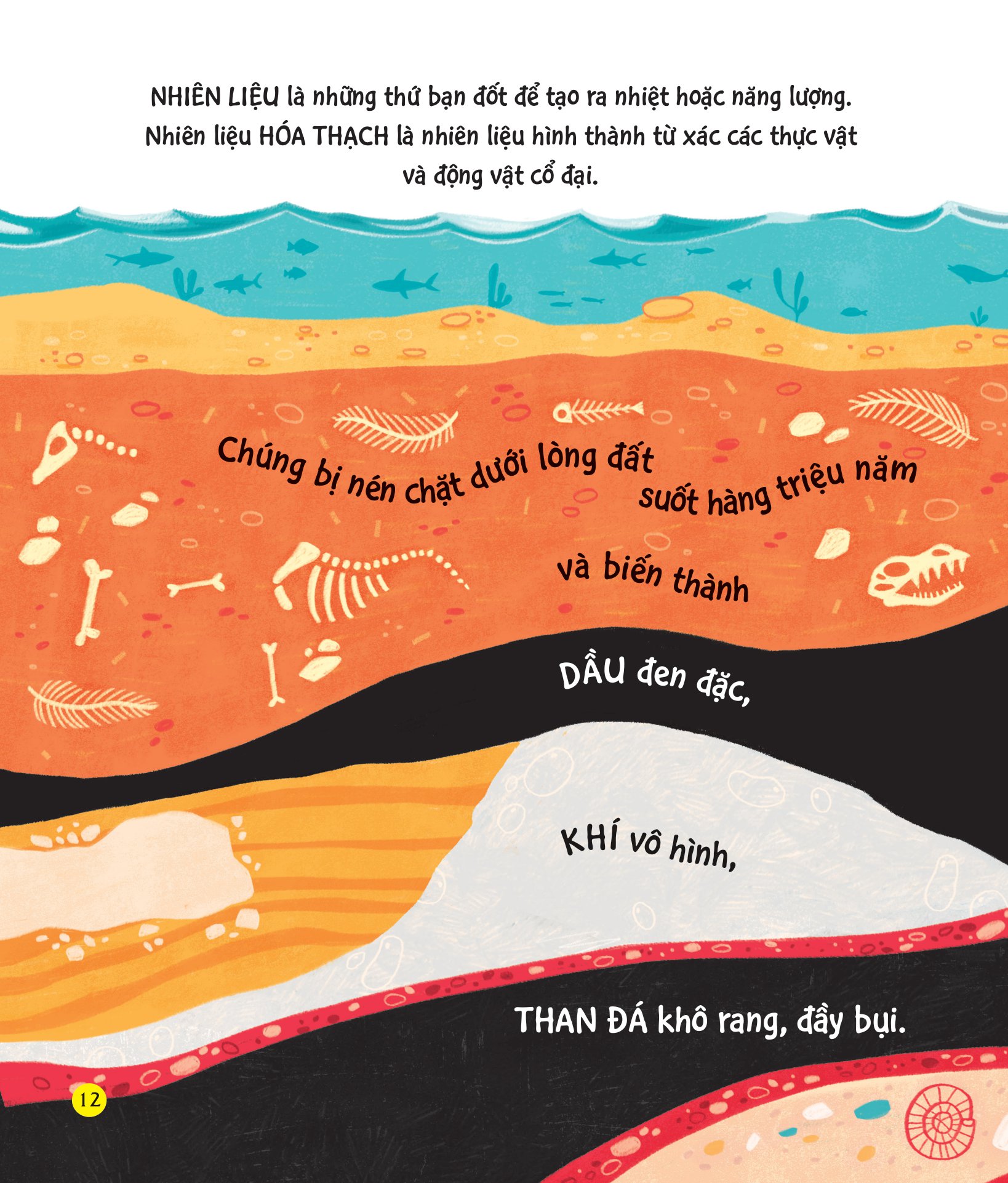 chúng ta có thể bảo vệ trái đất? - giải cứu gấu bắc cực - Ảnh 10