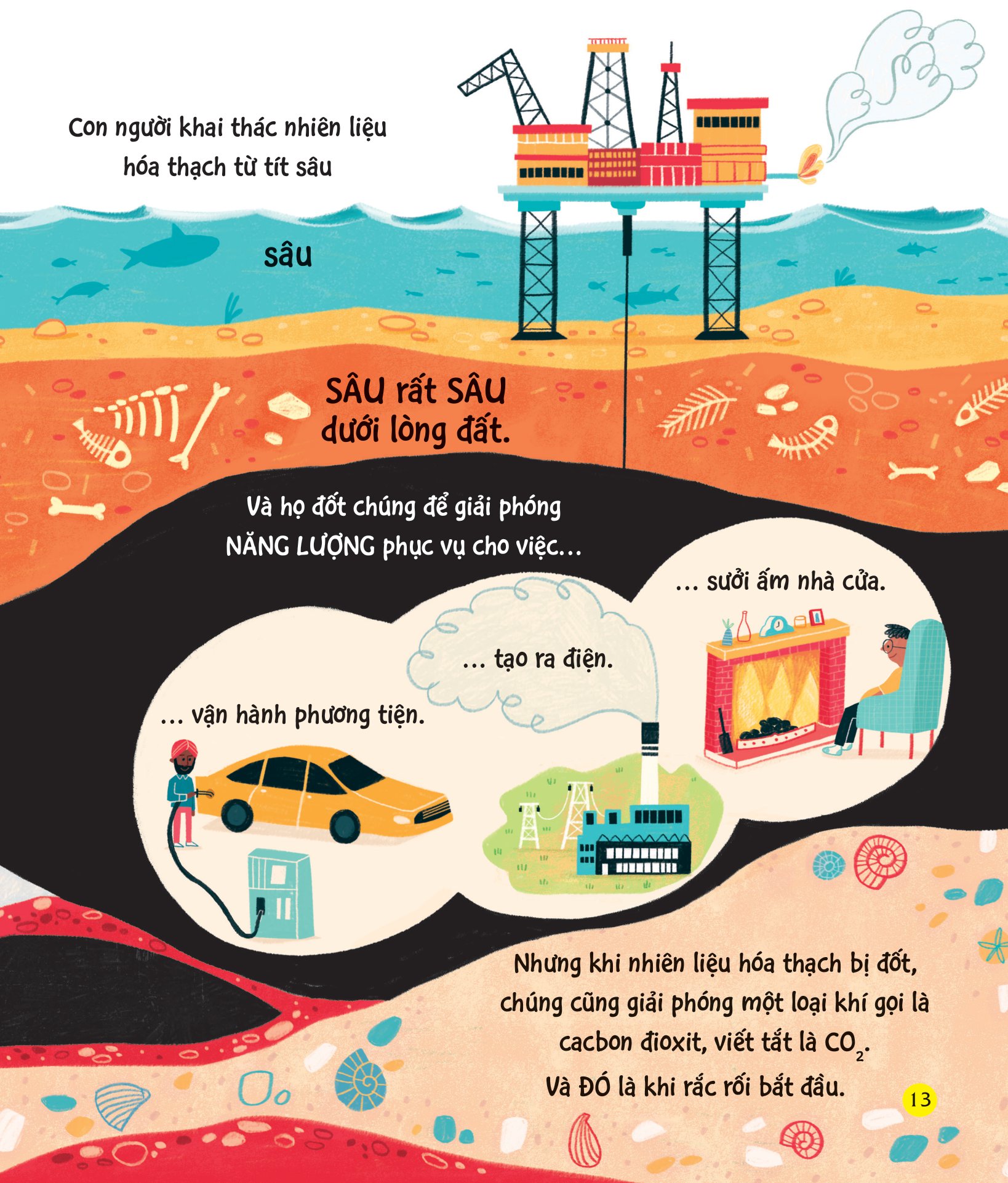 chúng ta có thể bảo vệ trái đất? - giải cứu gấu bắc cực - Ảnh 11