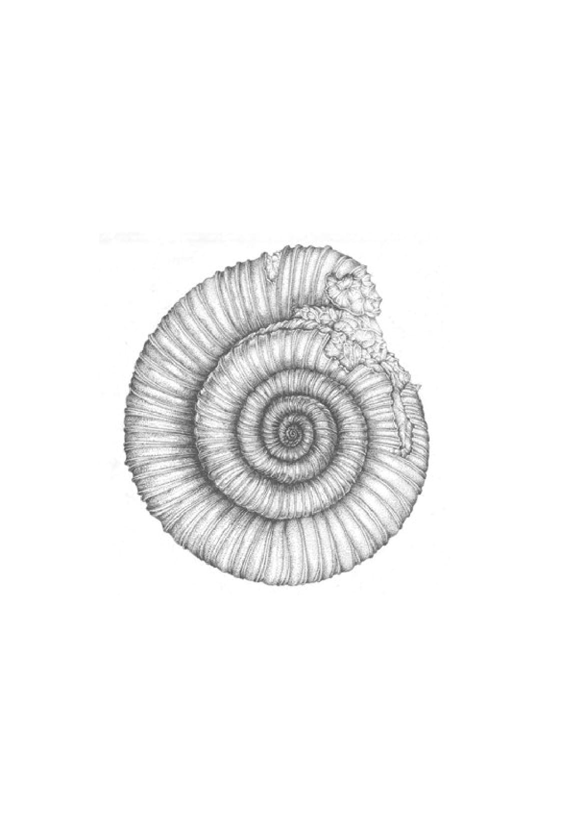 chúng ta làm gì với trái đất? - Ảnh 11