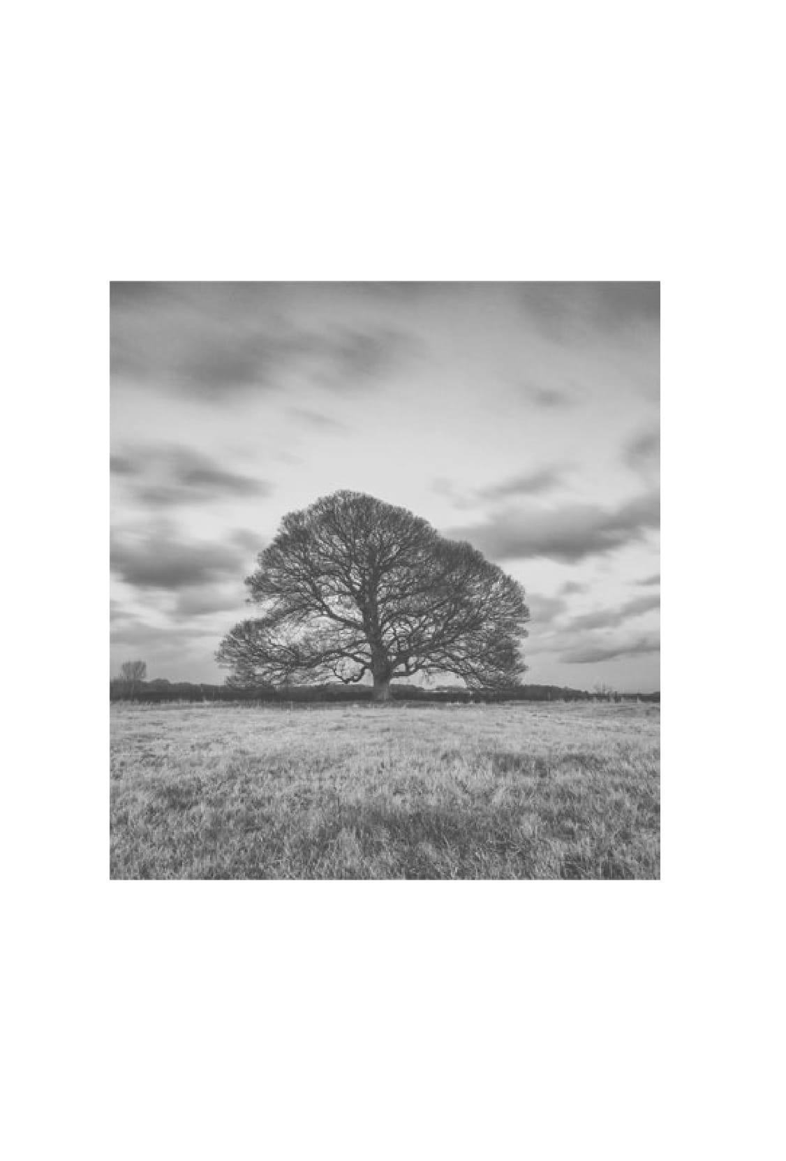 chúng ta làm gì với trái đất? - Ảnh 8