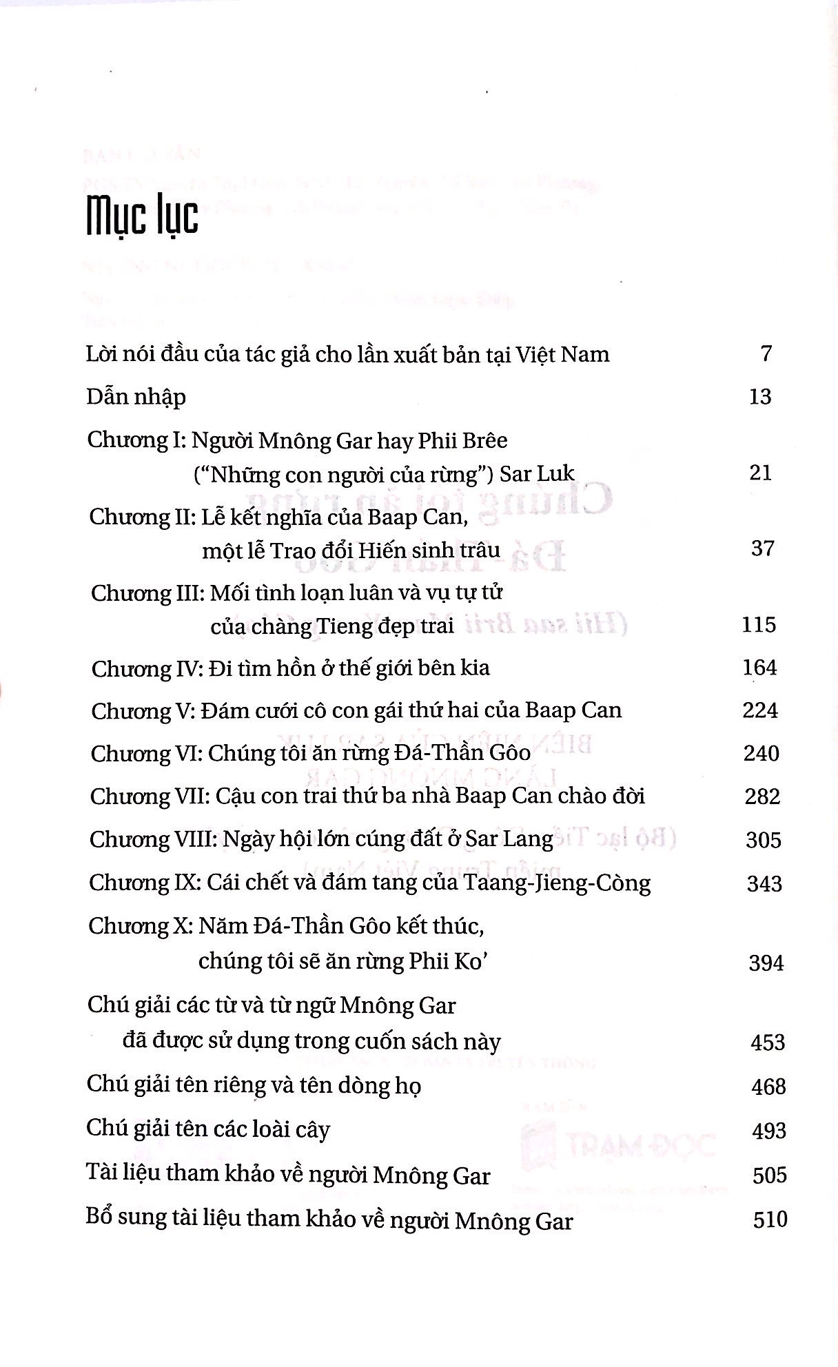 chúng tôi ăn rừng - Ảnh 3