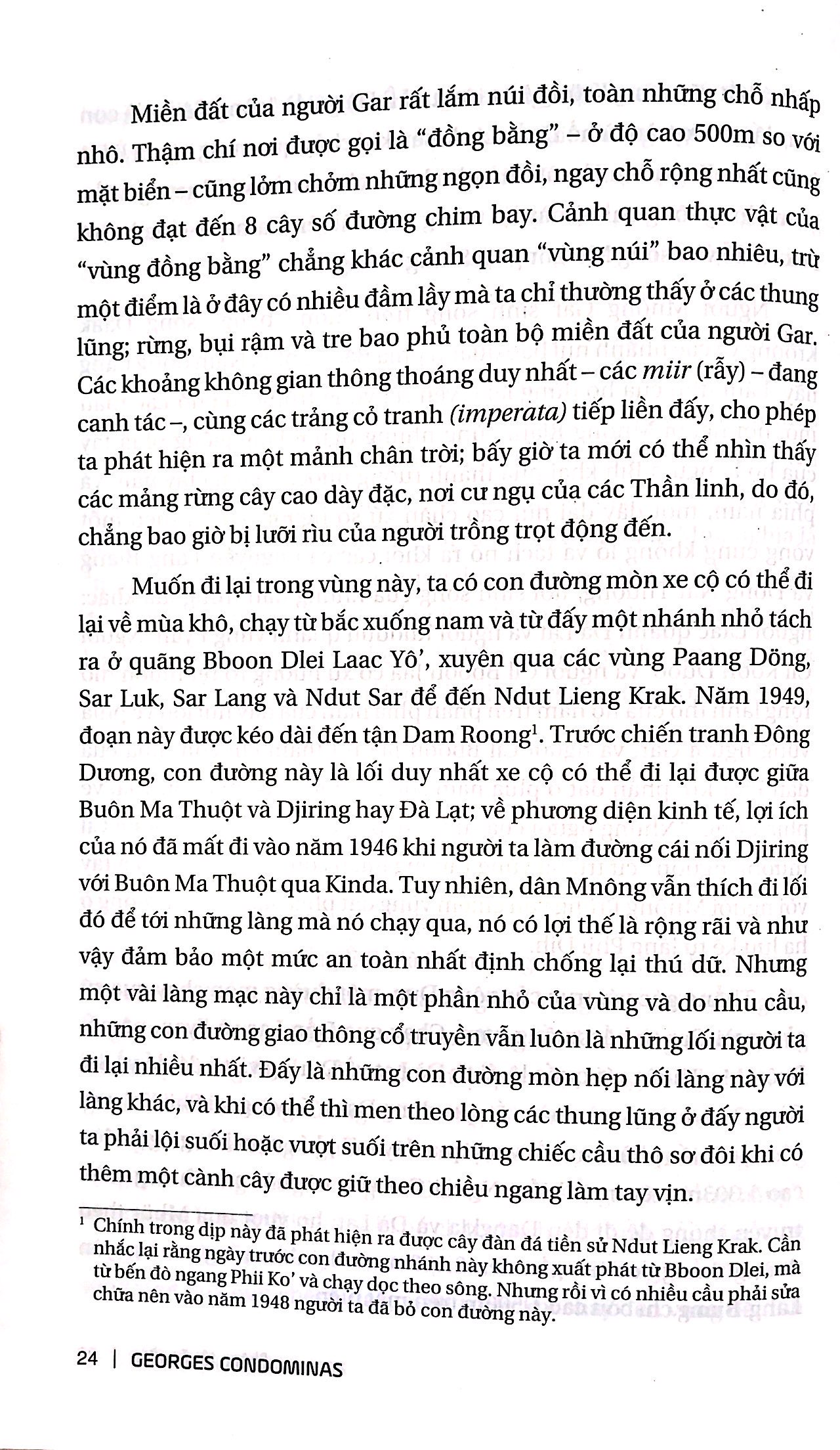 chúng tôi ăn rừng - Ảnh 9