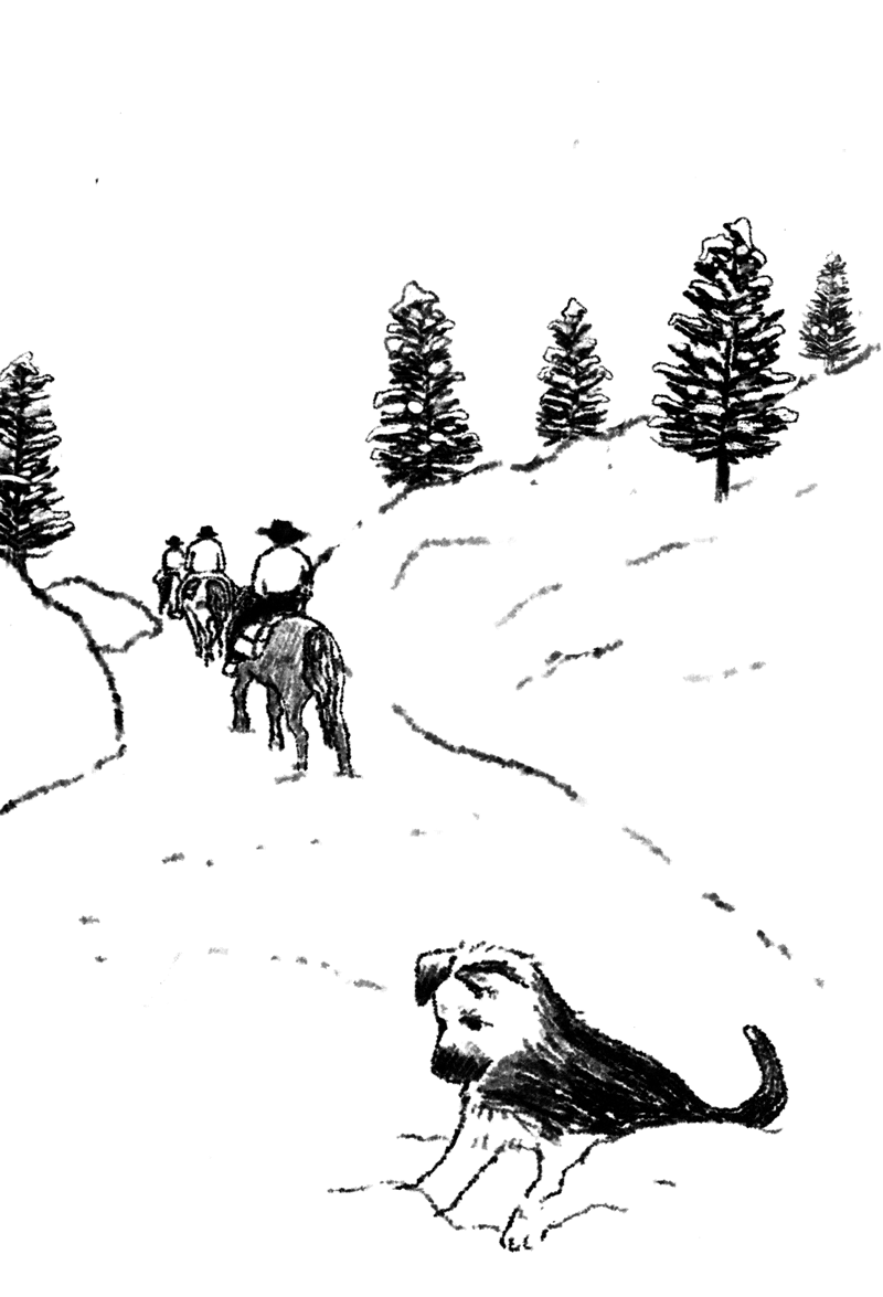 chuyện con chó tên là trung thành - Ảnh 10