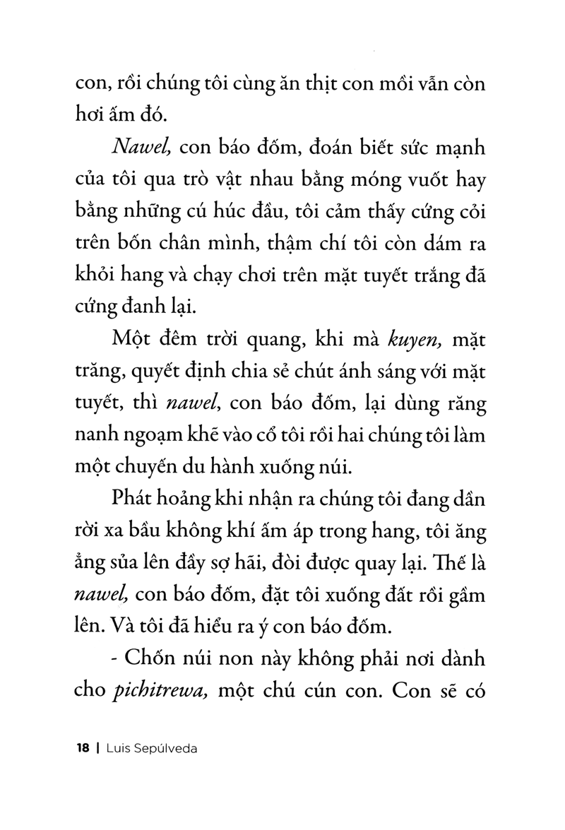 chuyện con chó tên là trung thành - Ảnh 12