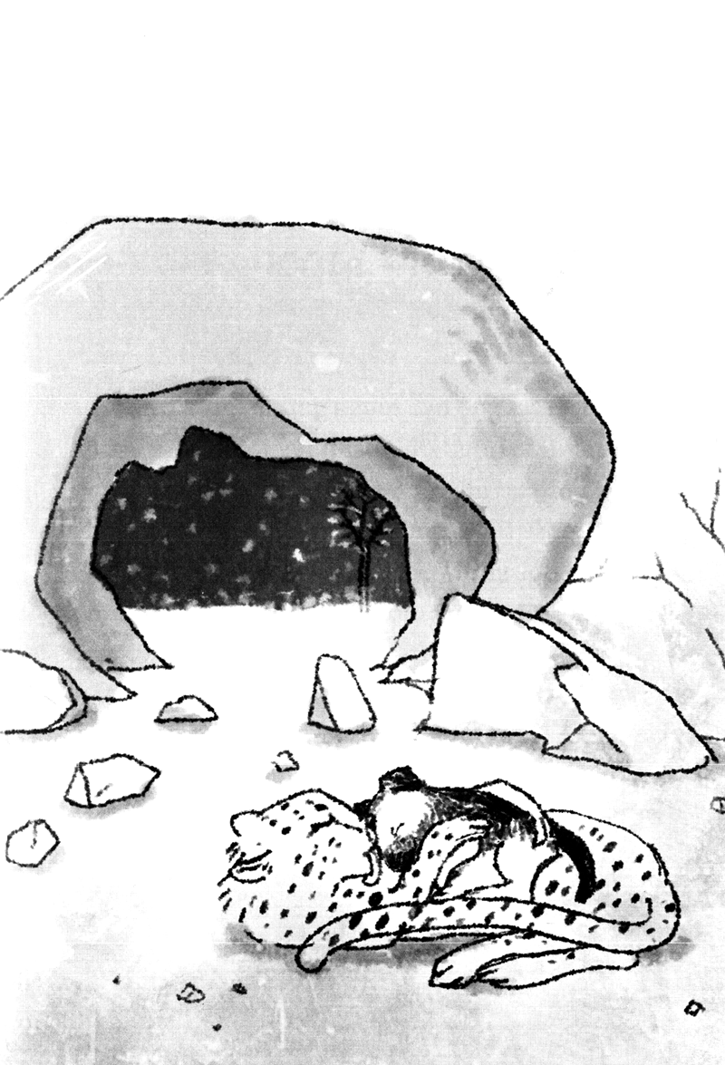 chuyện con chó tên là trung thành - Ảnh 13