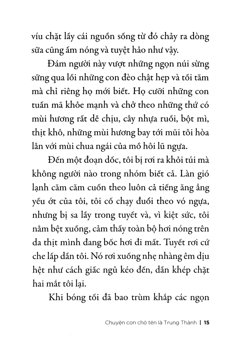 chuyện con chó tên là trung thành - Ảnh 9
