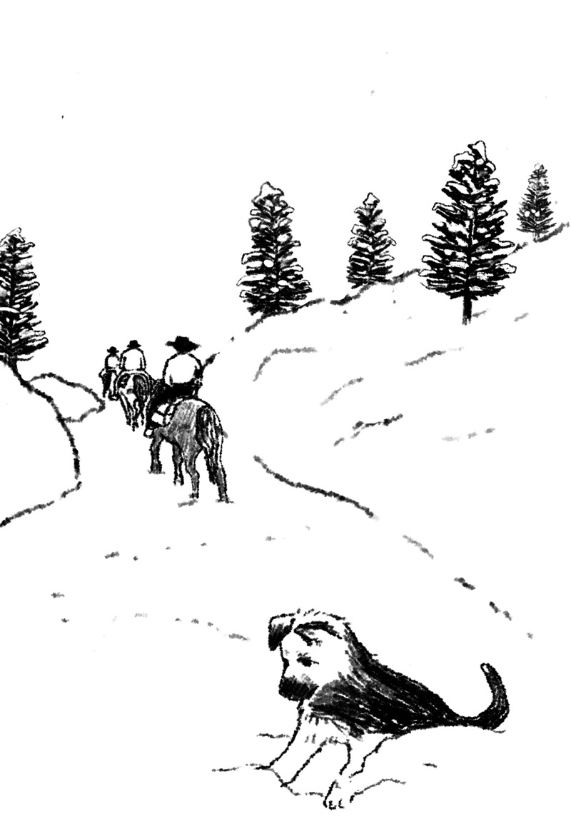 Chuyện Con Chó Tên Là Trung Thành (Tái Bản 2026) - Ảnh 9