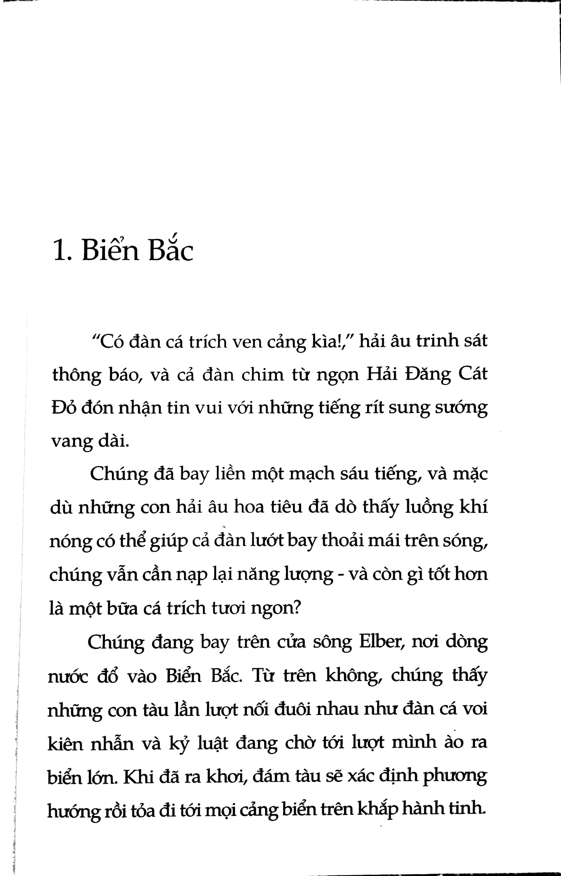 chuyện con mèo dạy hải âu bay (tái bản 2024) - Ảnh 5