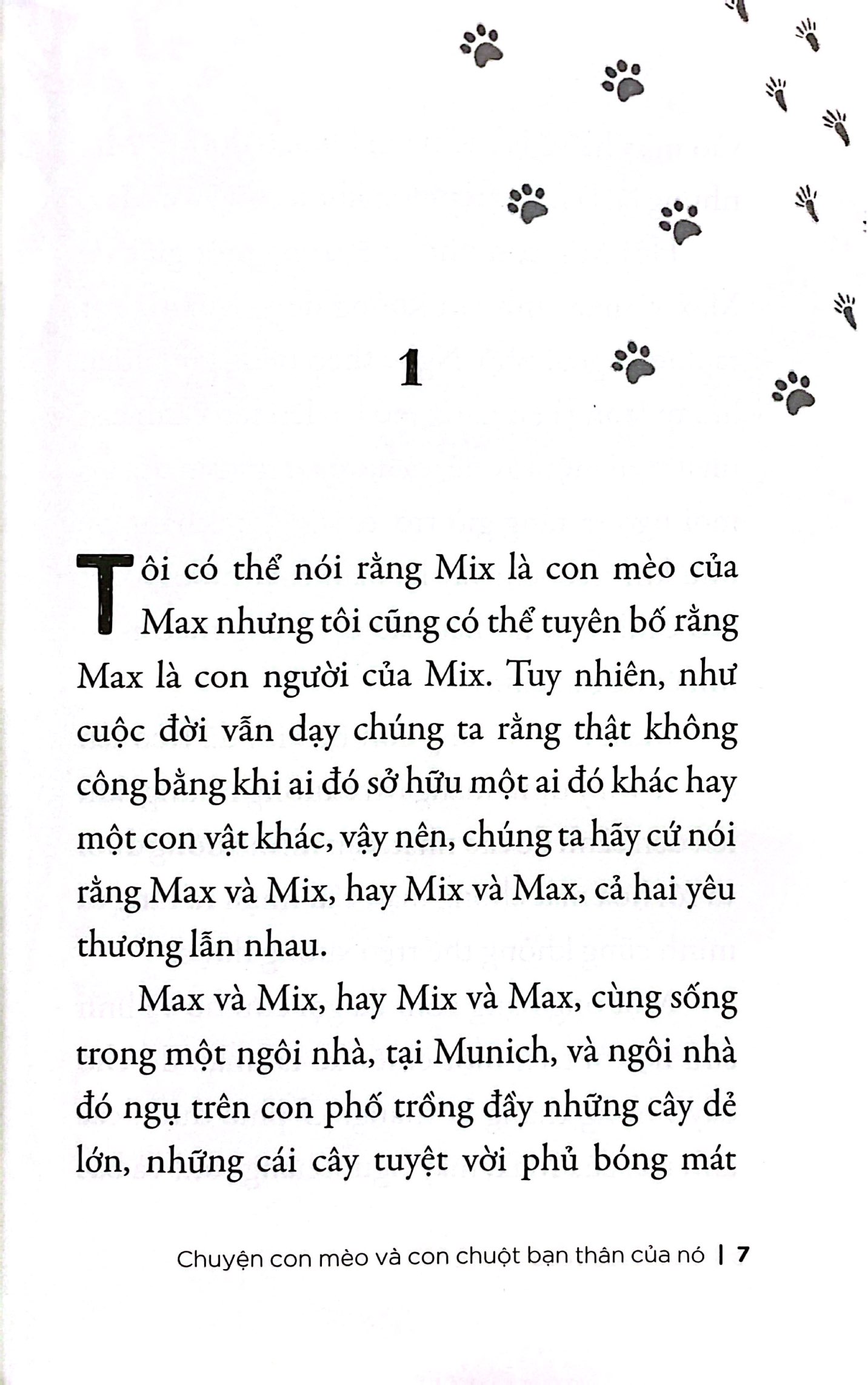 Chuyện Con Mèo Và Con Chuột Bạn Thân Của Nó - Ảnh 3