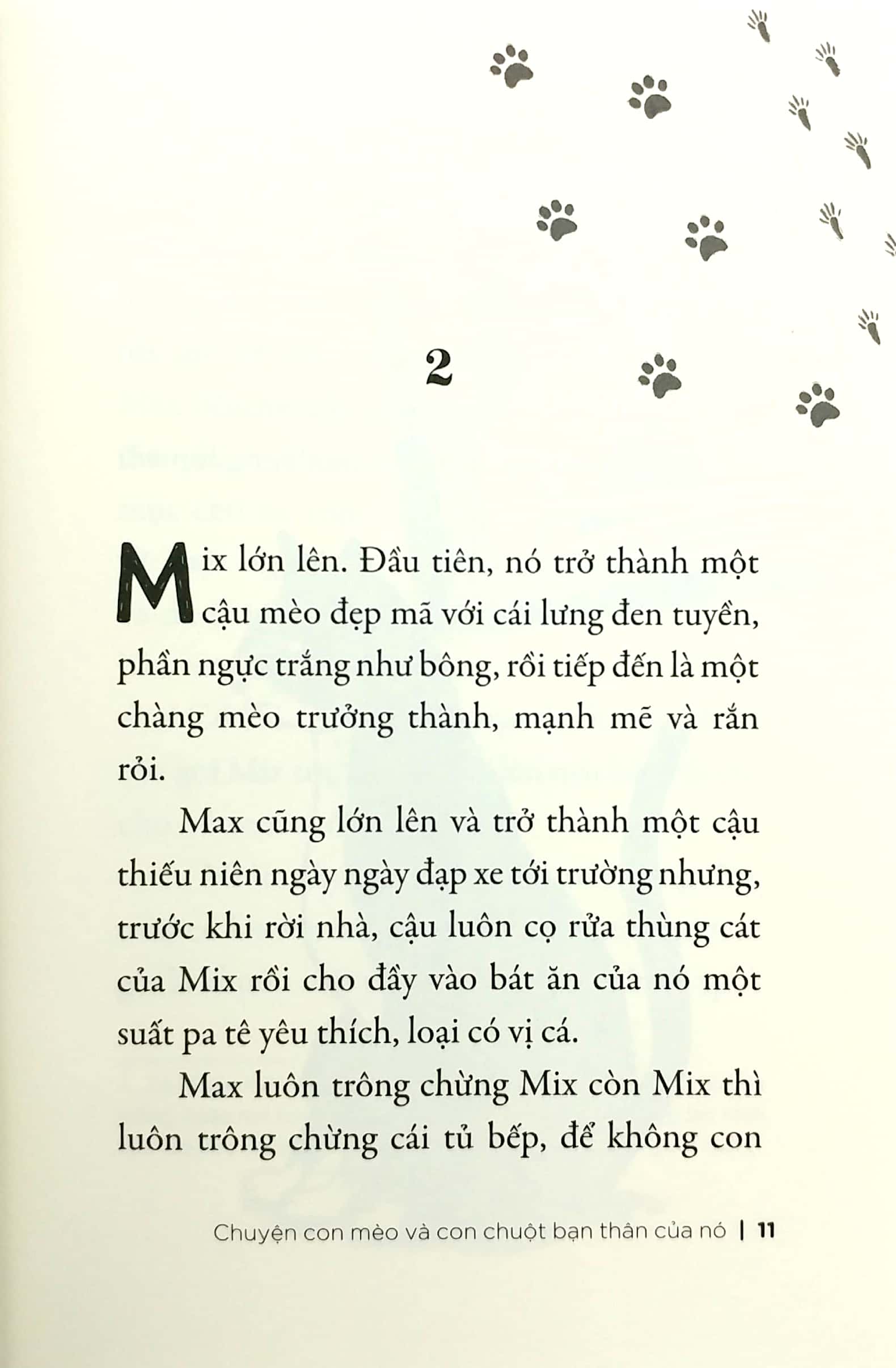 chuyện con mèo và con chuột bạn thân của nó (tái bản 2019) - Ảnh 10
