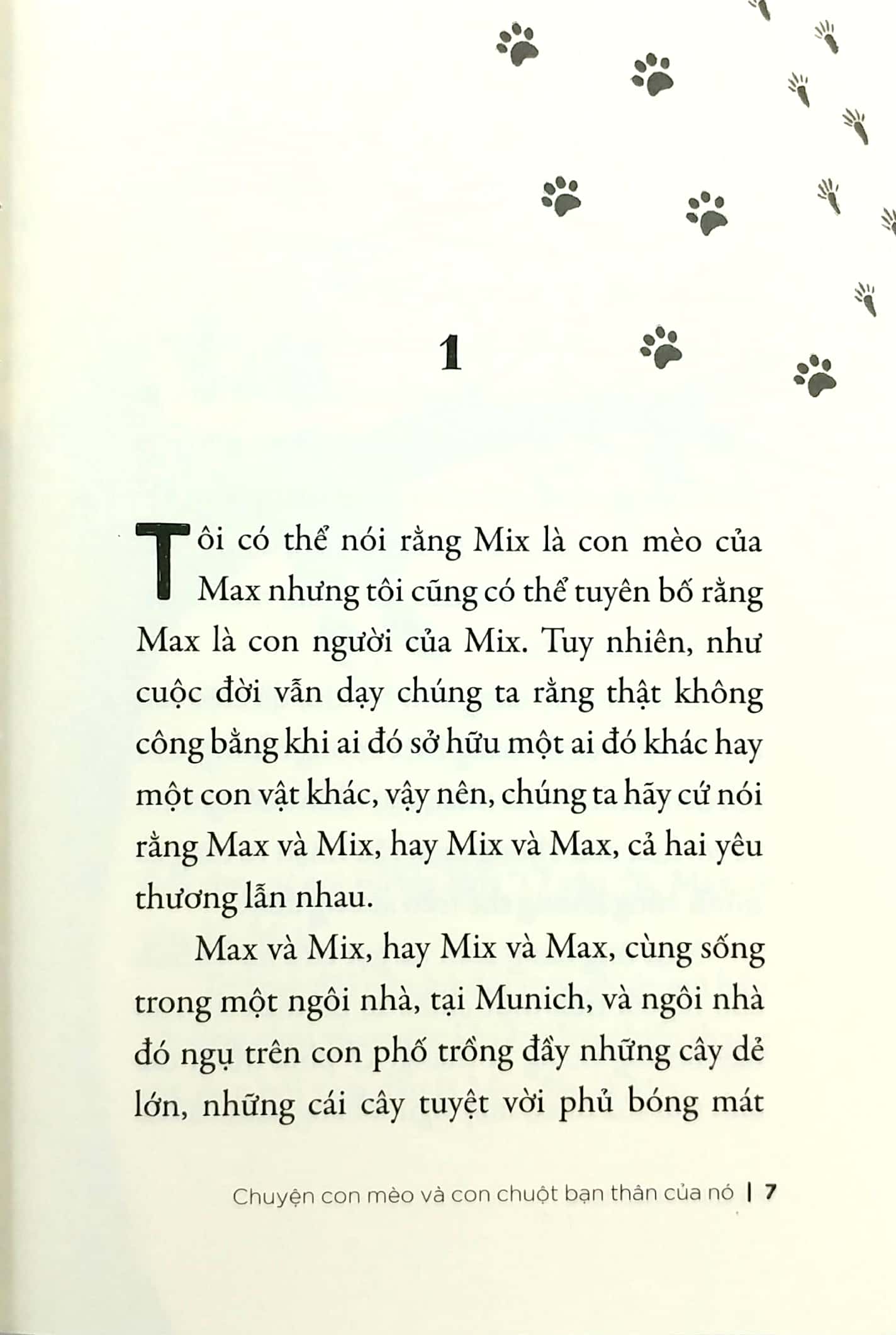 chuyện con mèo và con chuột bạn thân của nó (tái bản 2019) - Ảnh 6