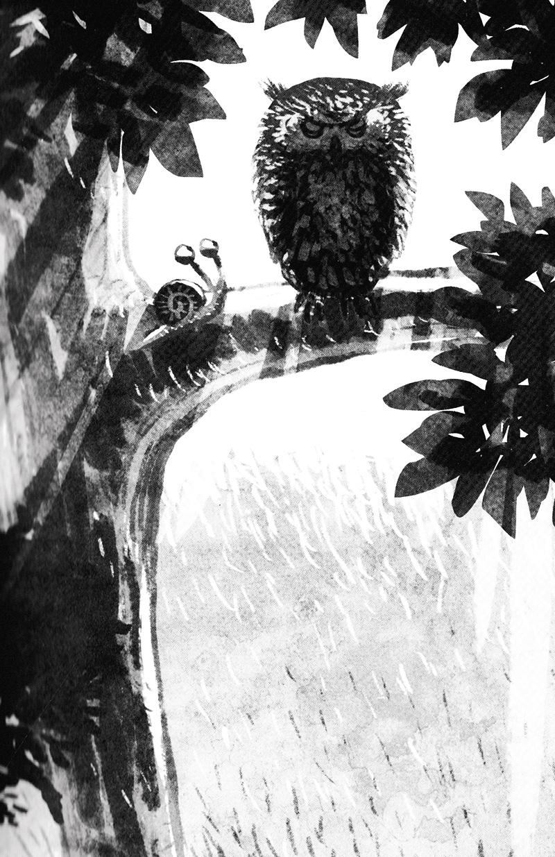 chuyện con ốc sên muốn biết tại sao nó chậm chạp (tái bản 2022) - Ảnh 11