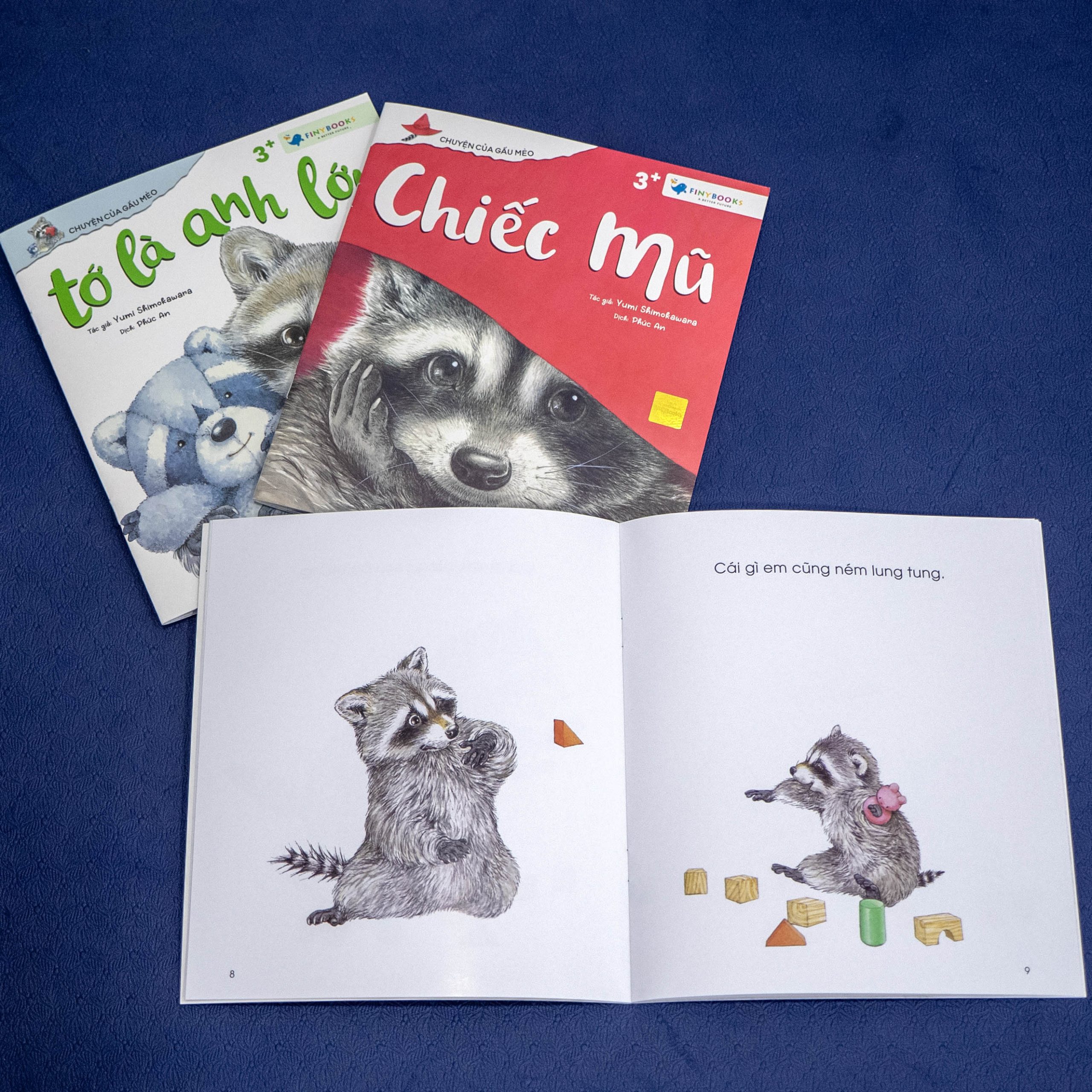 chuyện của gấu mèo - em bé của gia đình - Ảnh 3