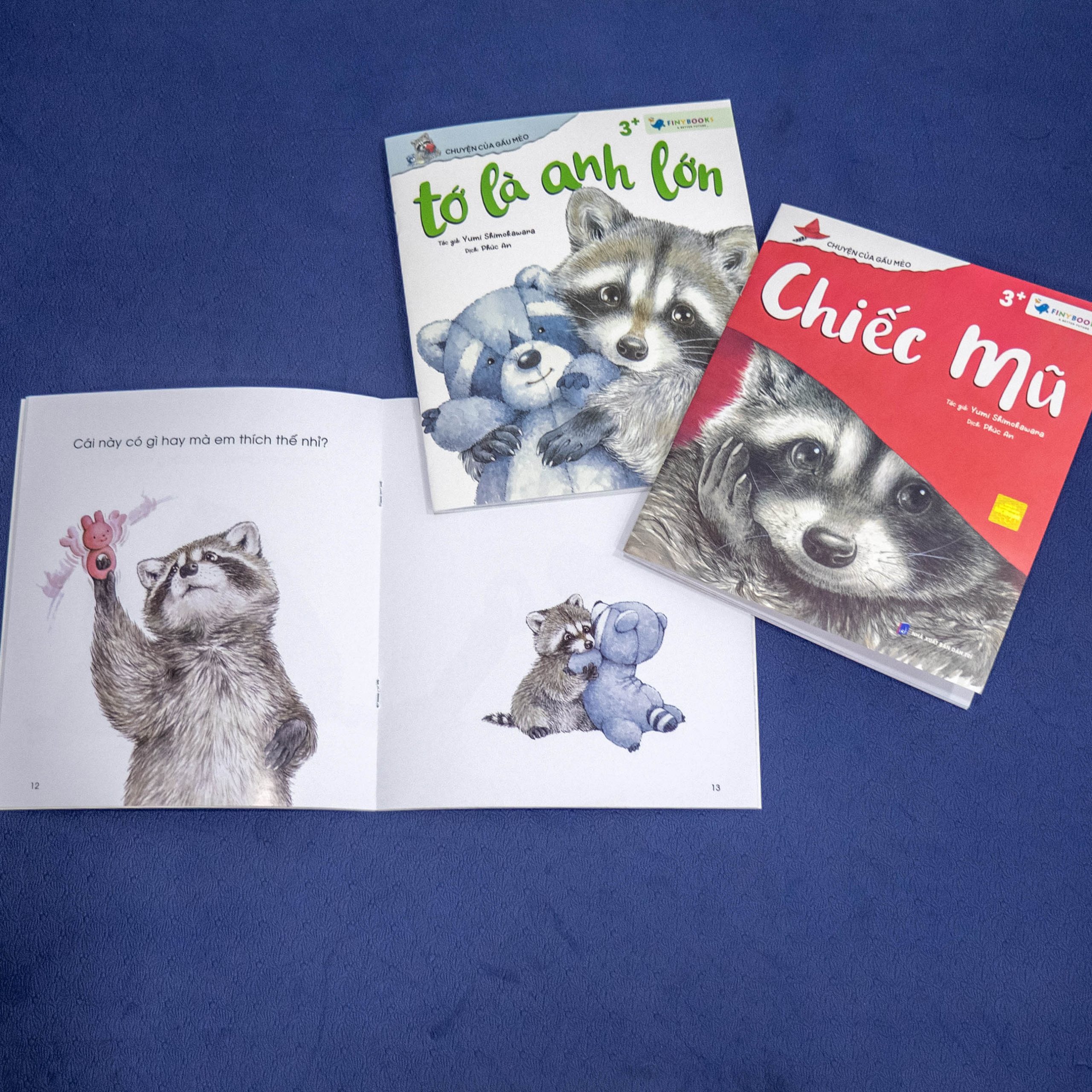 chuyện của gấu mèo - em bé của gia đình - Ảnh 4