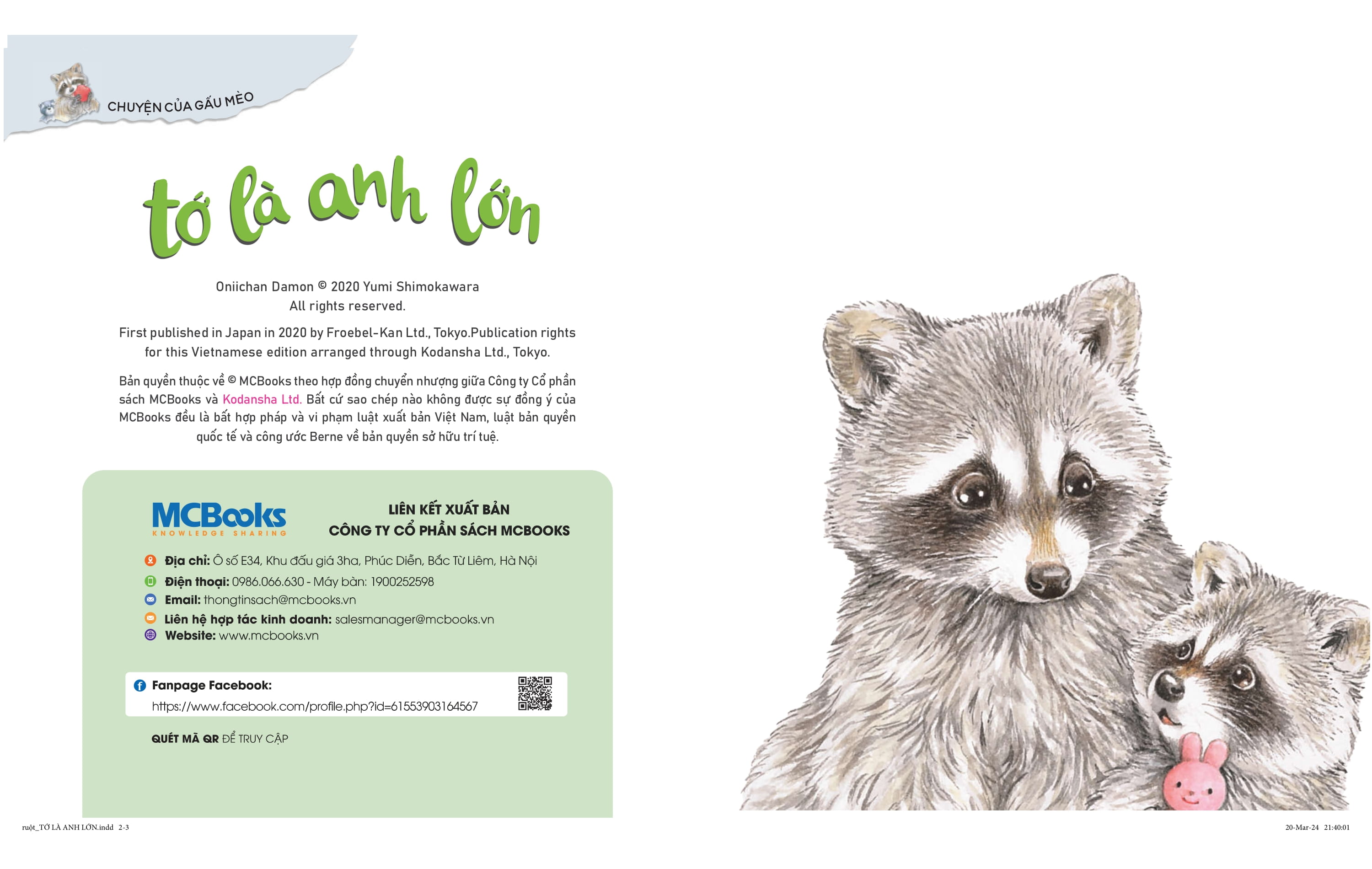 chuyện của gấu mèo - tớ là anh lớn - Ảnh 2