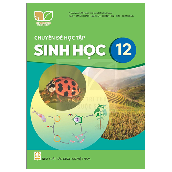 Chuyên Đề Học Tập Tin Học 12 - Định Hướng Tin Học Ứng Dụng (Kết Nối) (Chuẩn) - Ảnh 13